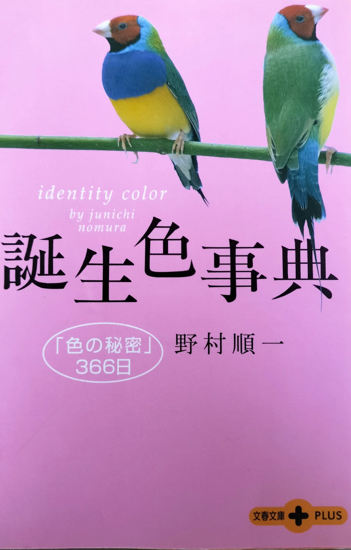 Birth Colors and Birth Flowers [October 13th, 14th, 15th]｜結虹(ゆうこ) 〜色で心を ...