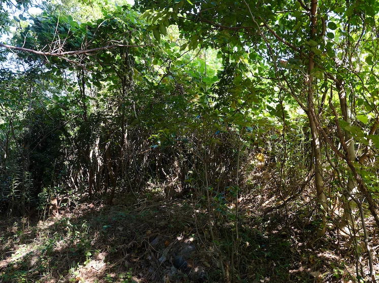 A story about trying to develop the land my grandfather left me in a ...
