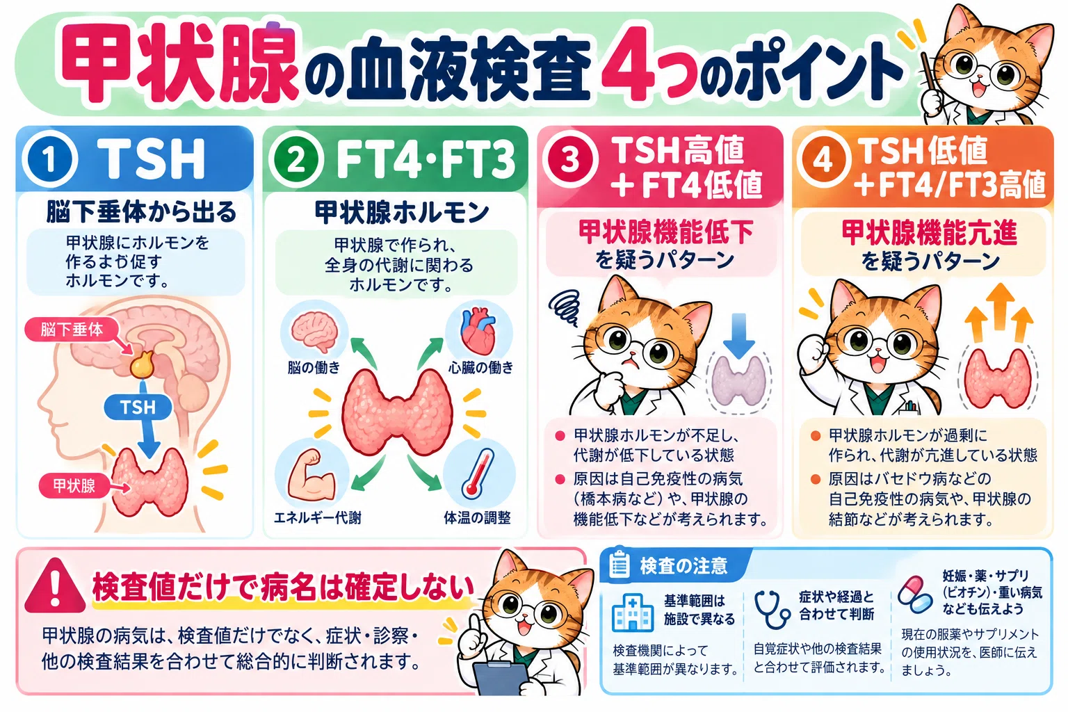 How to Interpret TSH, FT3, and FT4: What Thyroid Blood Tests Reveal ...