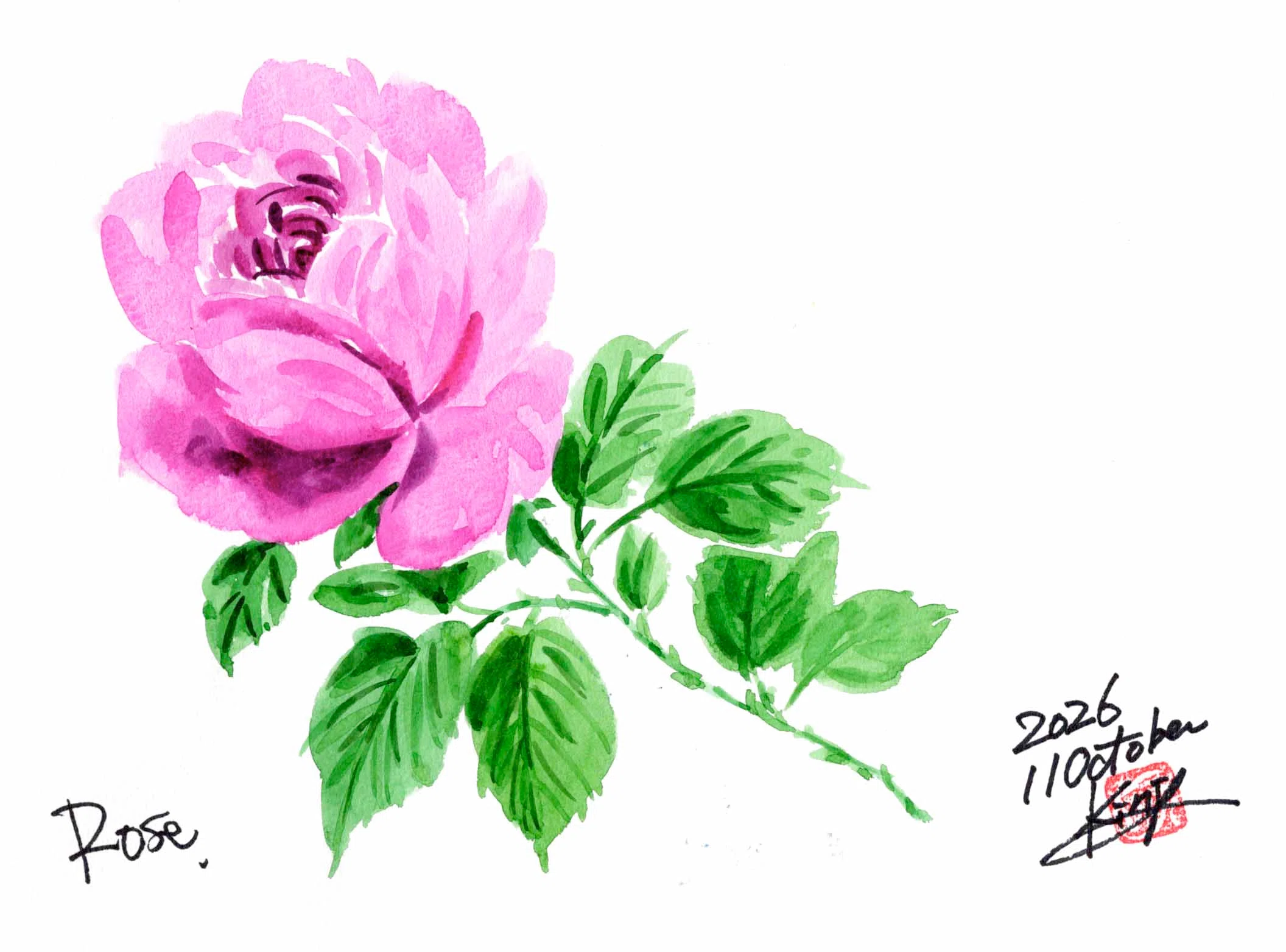 今日も定番の薔薇でございます。｜kinta65