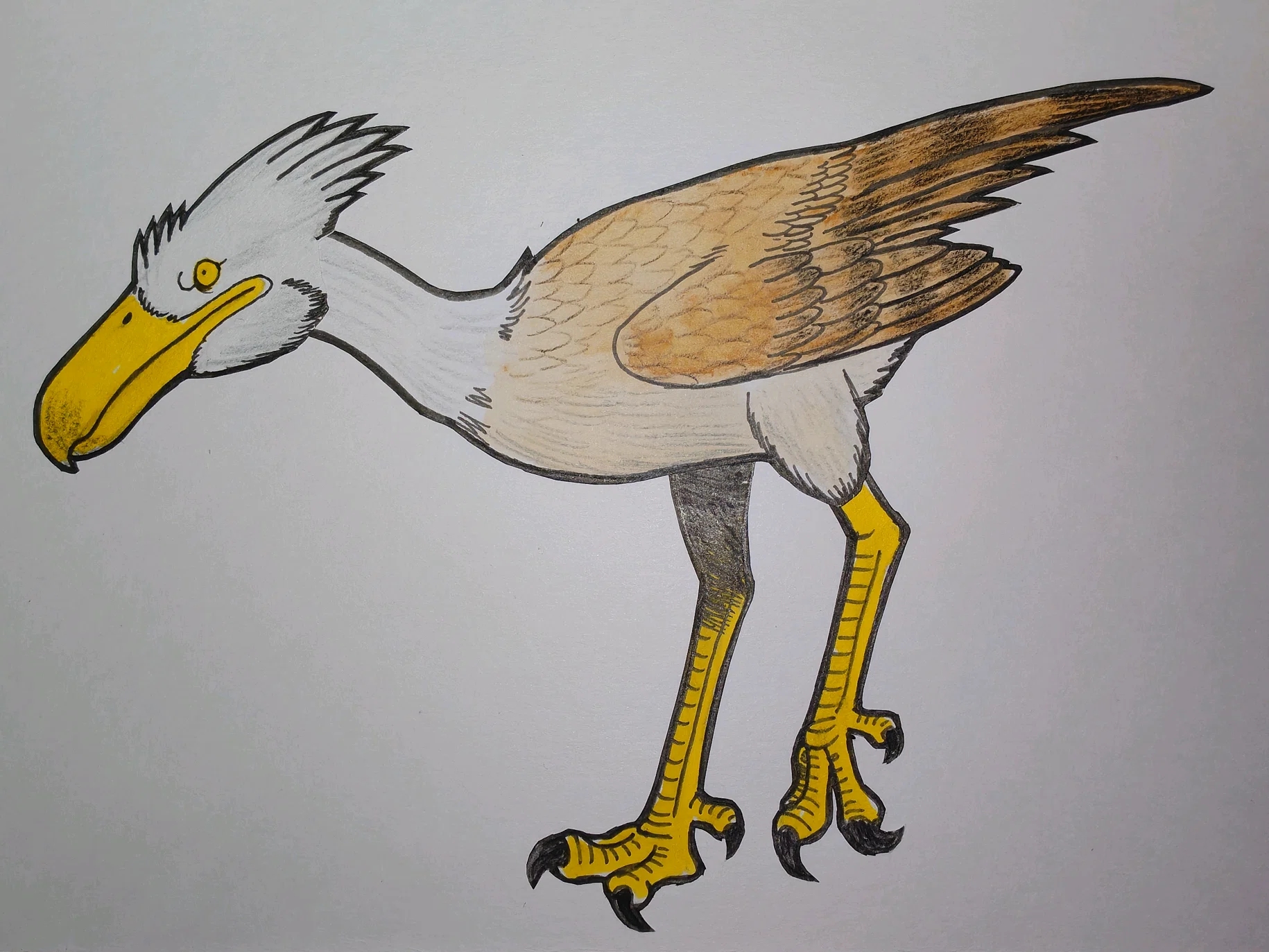 [Illustration & Commentary] Bathornis｜TechpanCreate（テクパン・クリエイト）