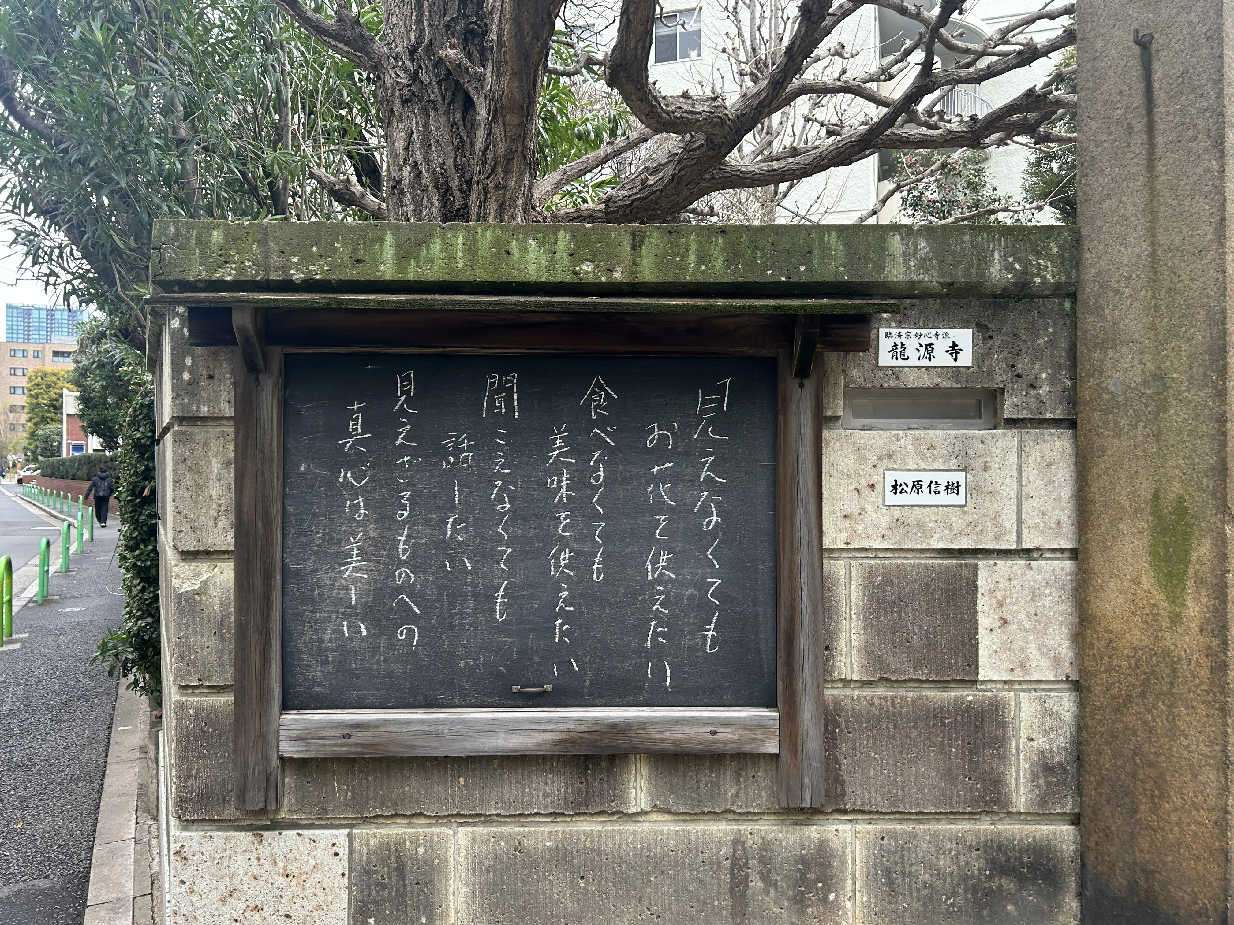 禅】101歳まで考え続けた禅僧・松原泰道老師と、受け継がれる法灯｜齊藤潤