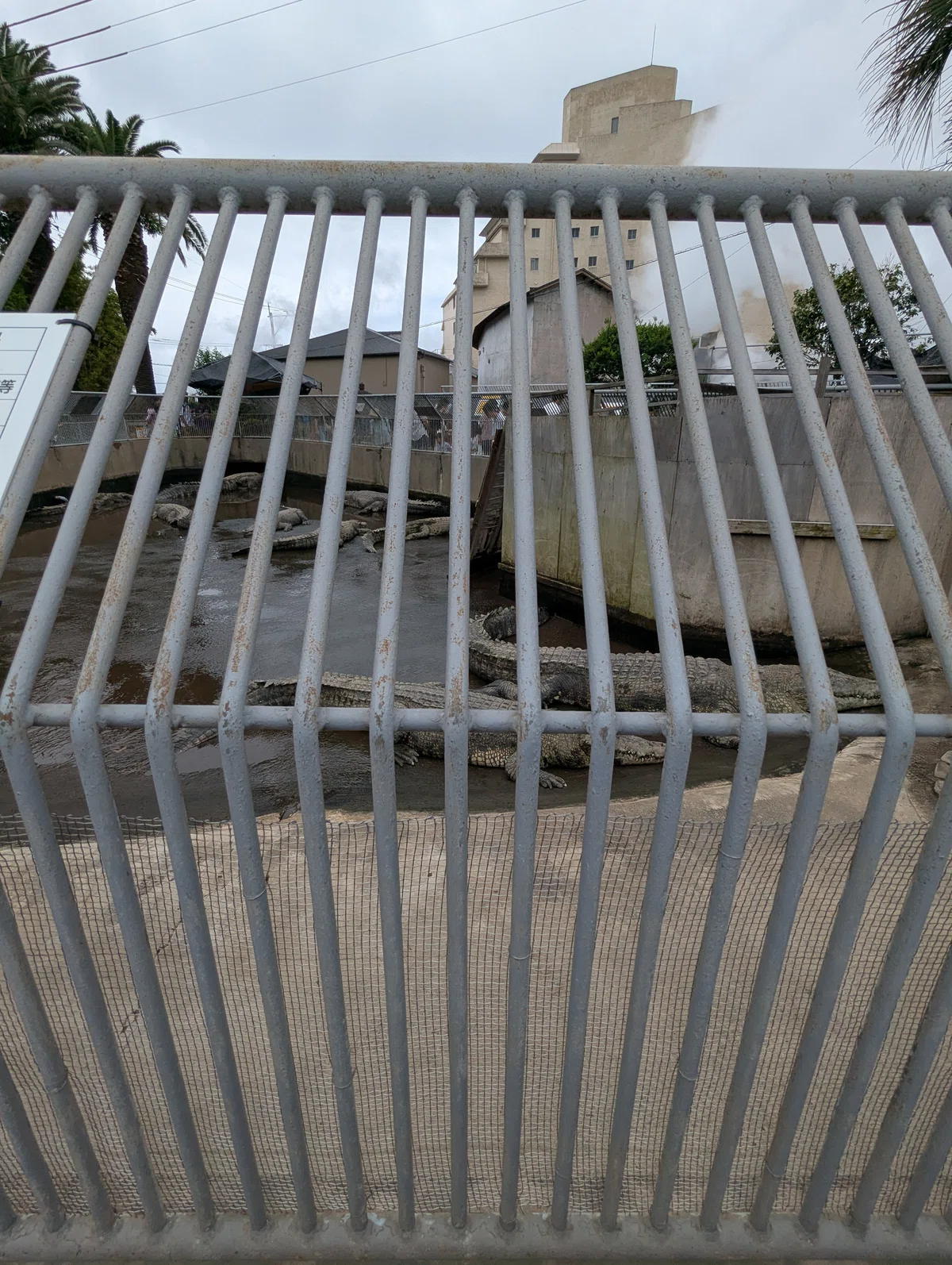[Trivia] Why are there no wild crocodiles in Japan? The double hardship ...