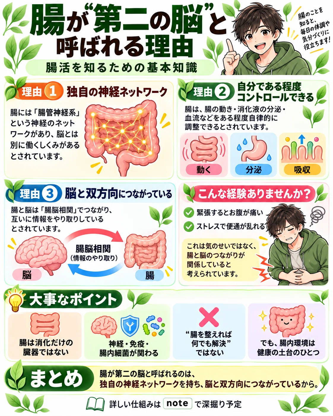 [Gut Health] Why the Gut is Called the Second Brain: Are the Brain and ...