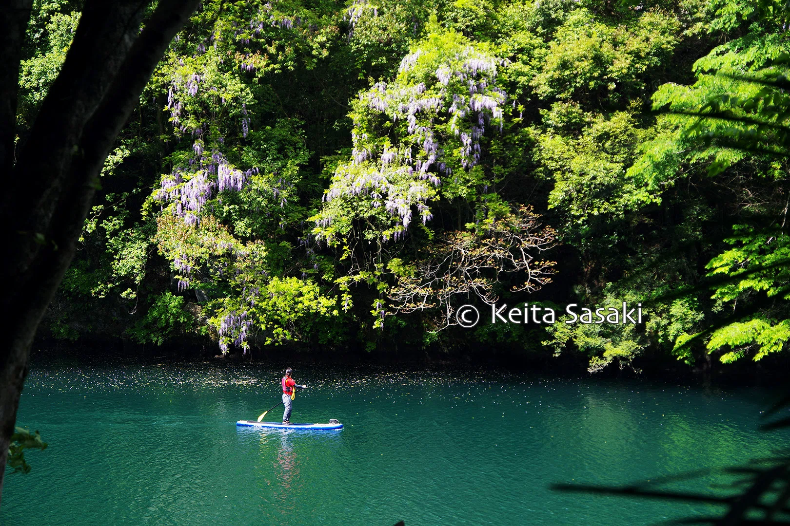 Lakes and Ponds｜佐々木啓太