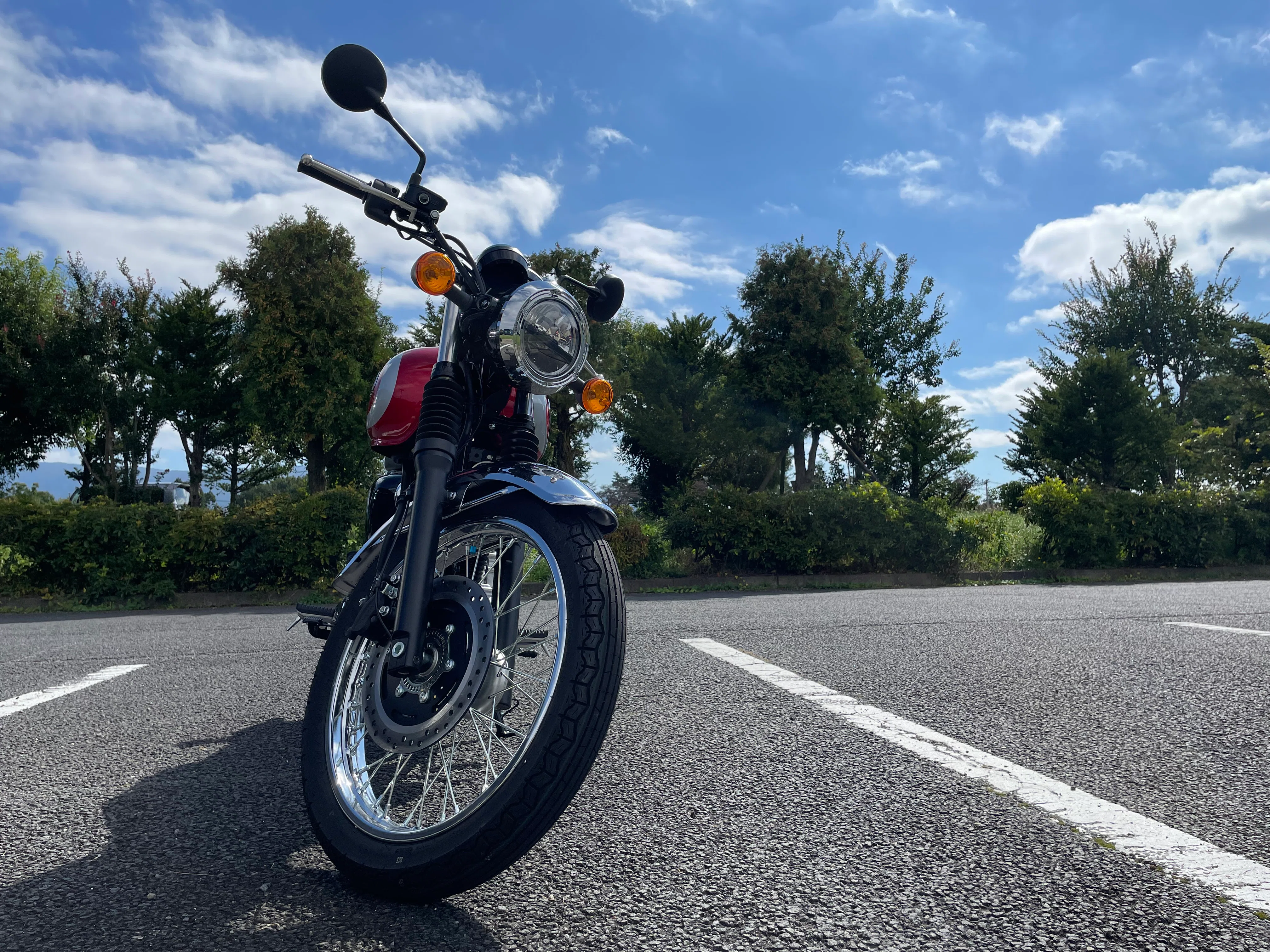 The story of a person in their 30s who got their license and bought a ...