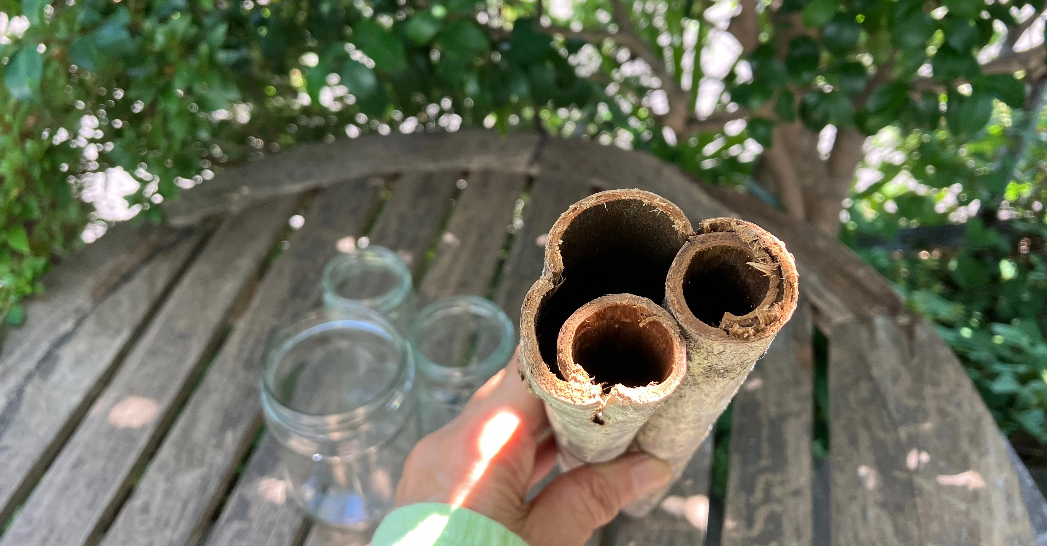胡桃の厚い樹皮を活かして、花瓶とオブジェを作る🌳｜山の小リス