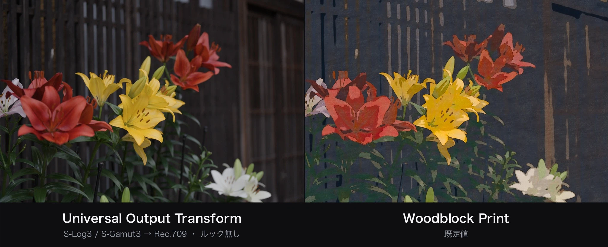 Number Two Colorful Turning photos into woodblock prints—A DCTL for DaVinci Resolve that ...
