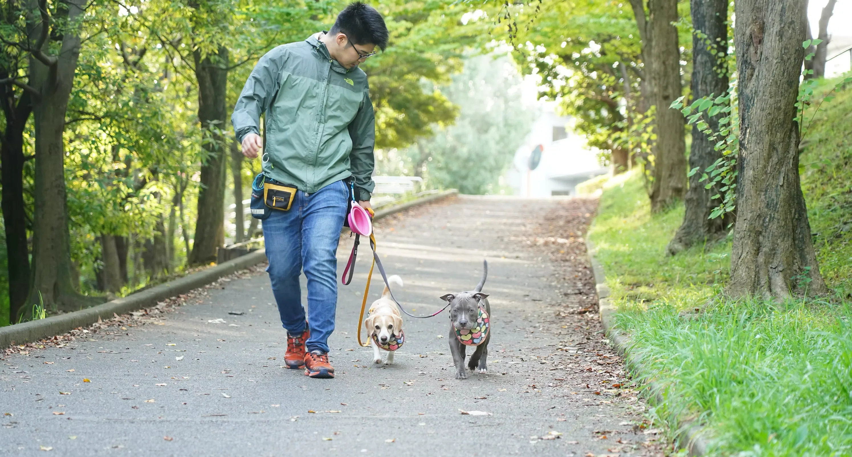 Who is Mr. Suzuki? A time to learn from a dog's perspective｜TSUGU（つぐ ...