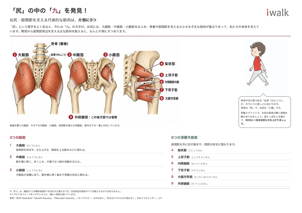 Longer than your sleep? The new risks of sitting too much｜みのわあい。｜ウォーキング ...
