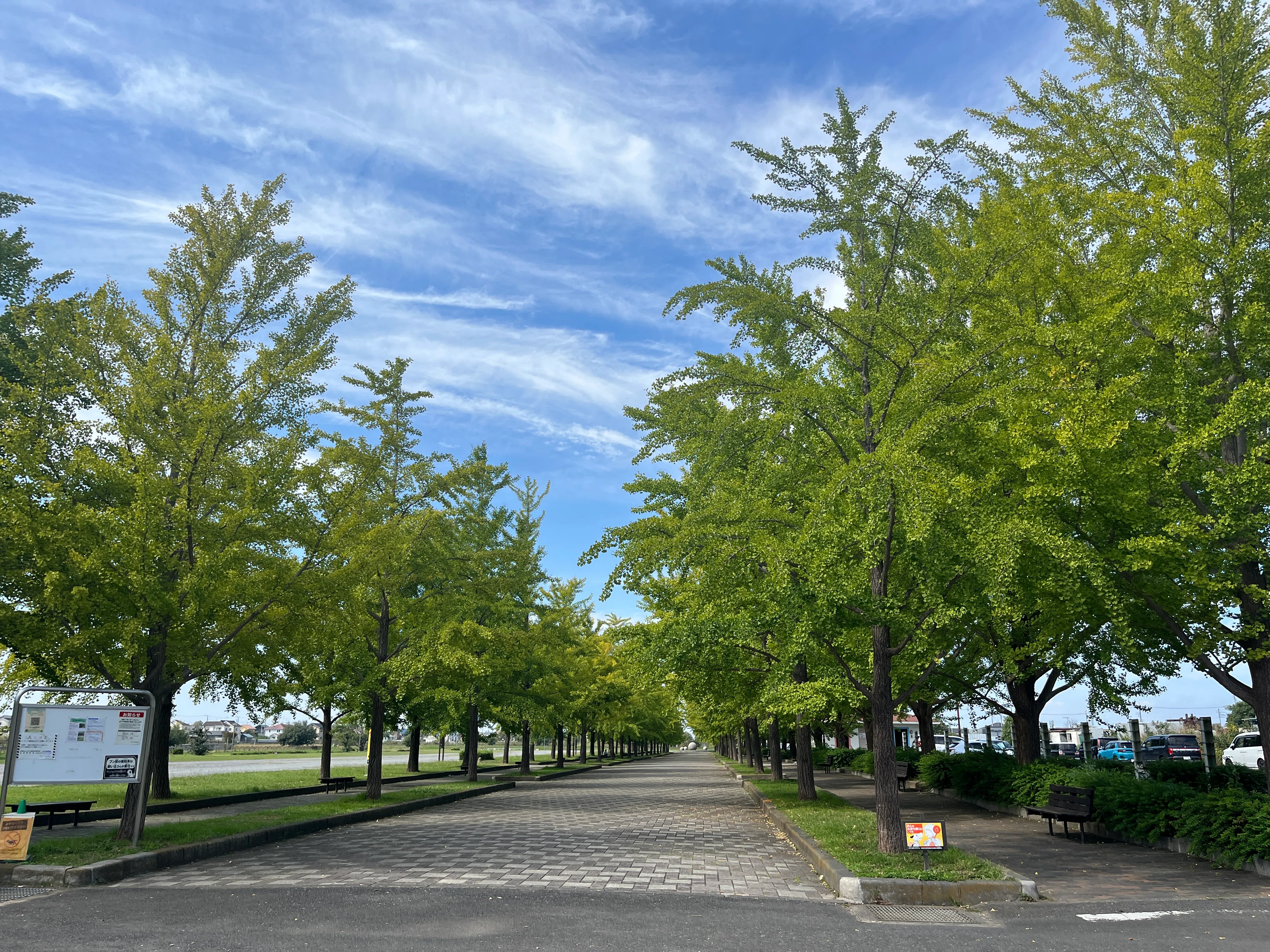 Happiness in your 60s is hidden in a day with no plans｜宮下とも@kindle作家＆ライター