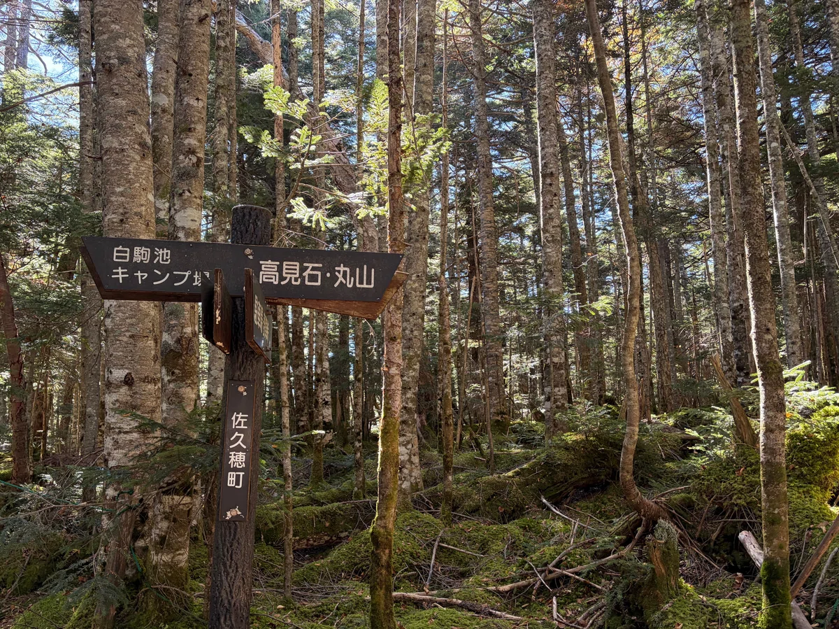 To Shirakoma Pond with My Father｜hanasaku