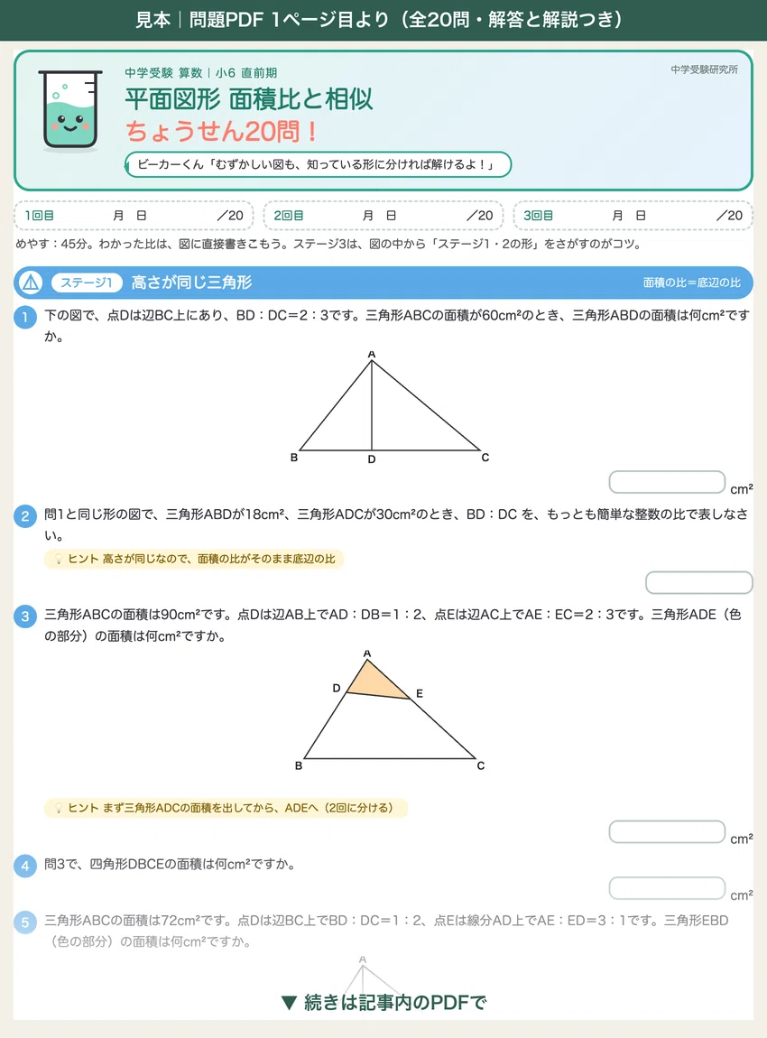 [6th Grade Final Stretch] Plane Geometry: Area Ratios and Similarity ...