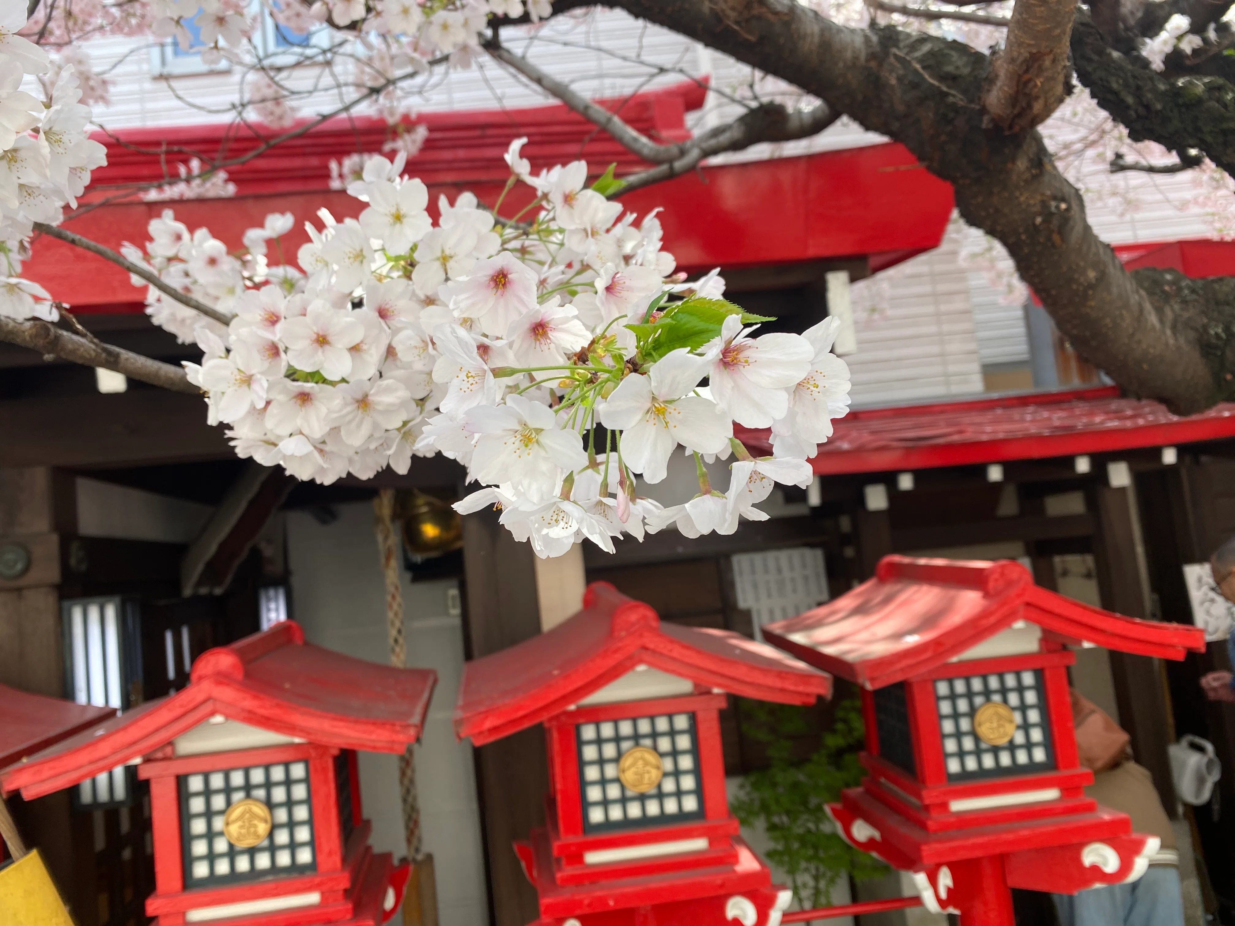 PHOTO ARCHIVES #4｜おたま