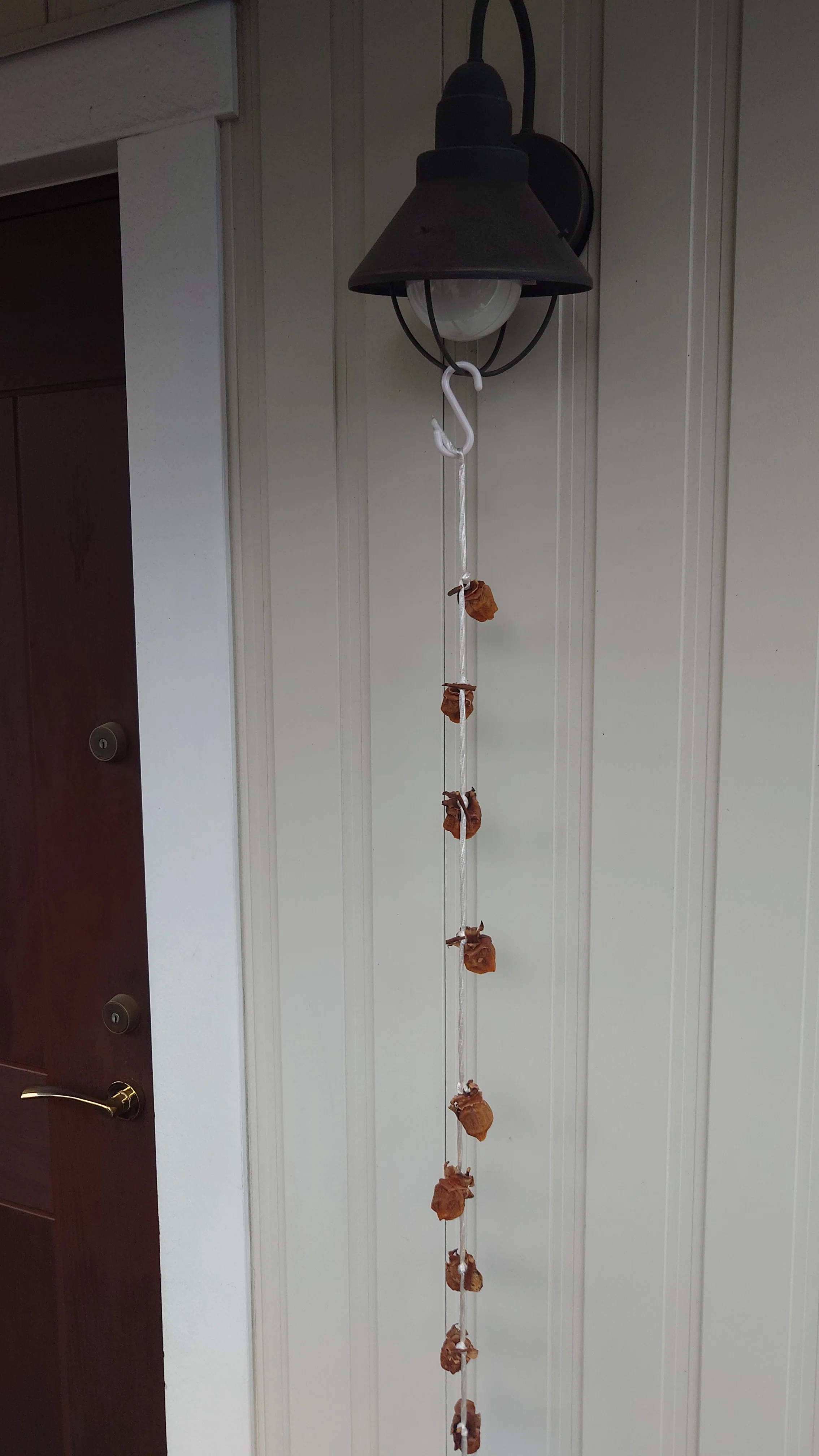 Astringent persimmons for 198 yen. I tried making dried persimmons—even ...