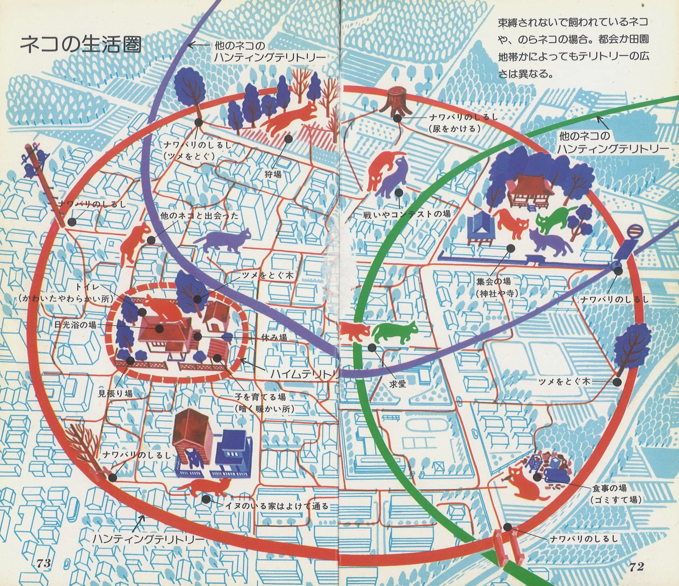 Selected Masterpieces of Map Literature 5: Junichiro Tanizaki's 'The ...