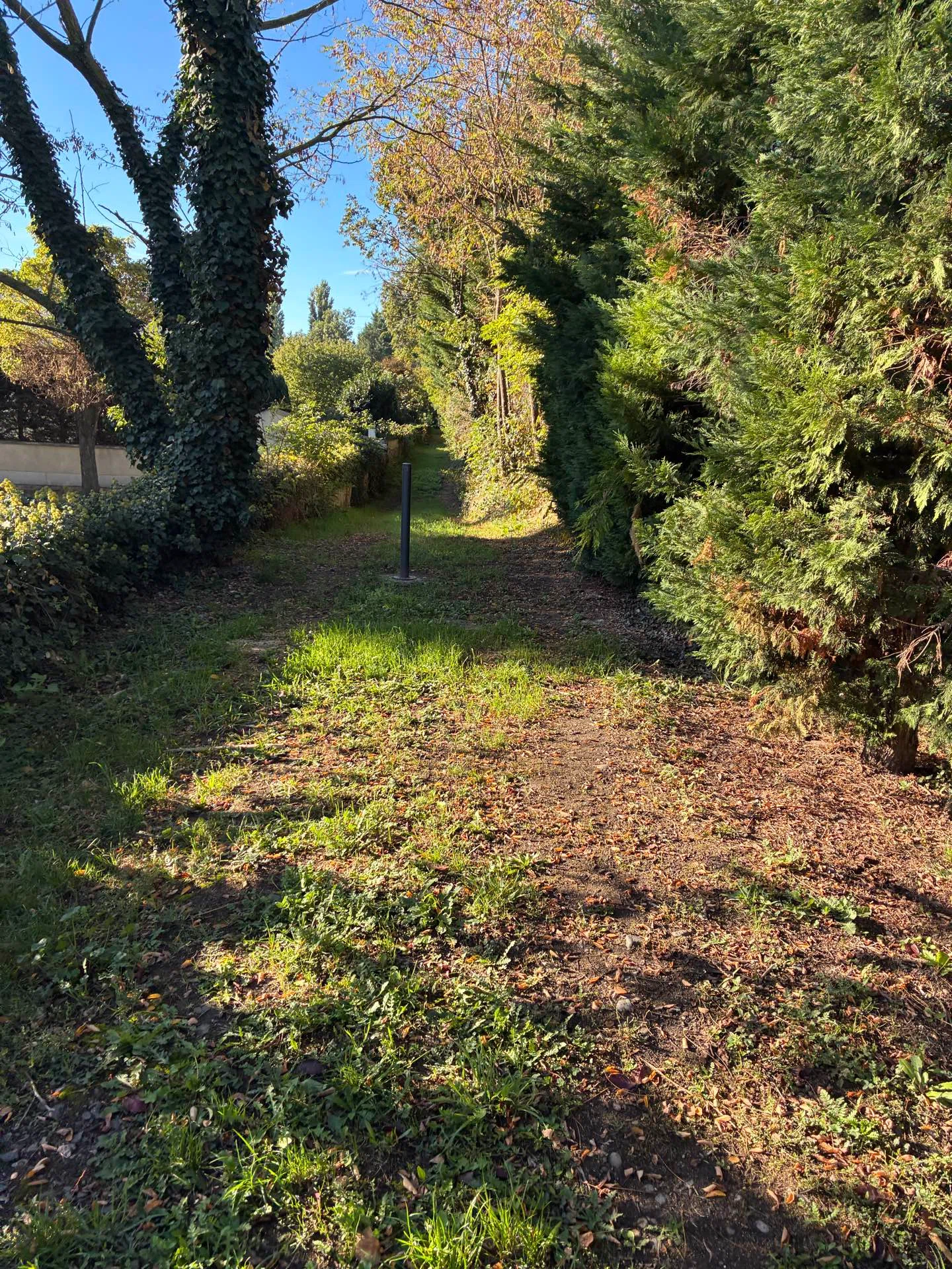 The day I had a great adventure on the way to the supermarket in the ...