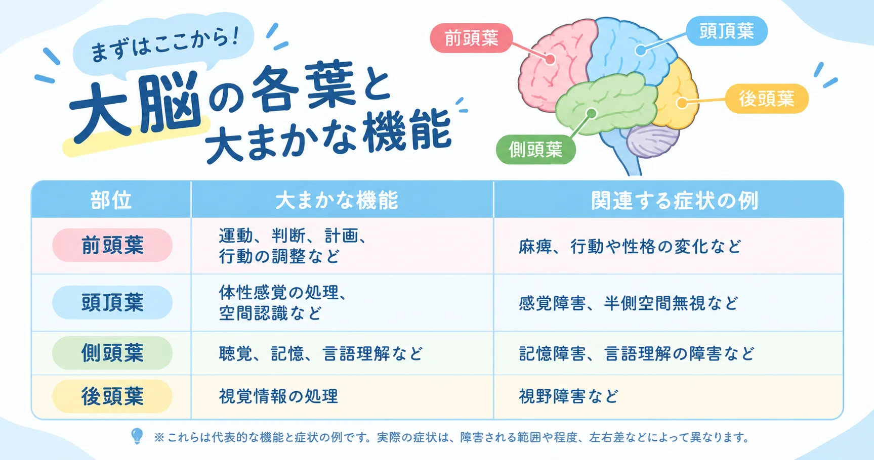 For new nurses who struggle with brain anatomy: Brain regions and ...
