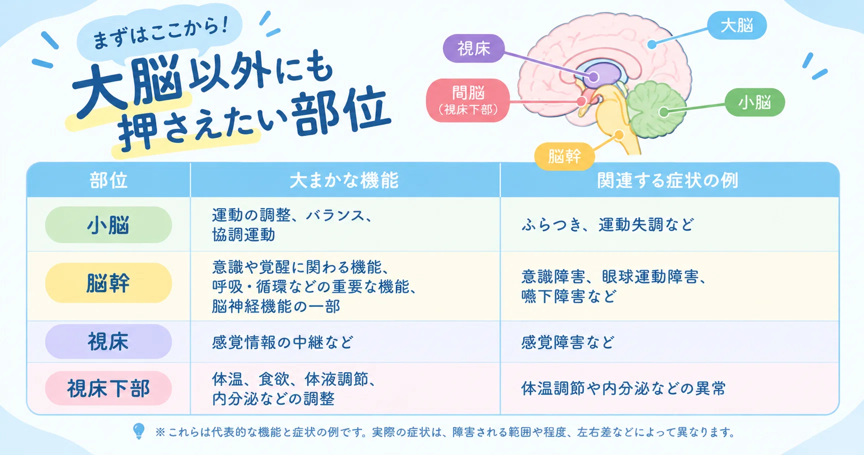 For new nurses who struggle with brain anatomy: Brain regions and ...