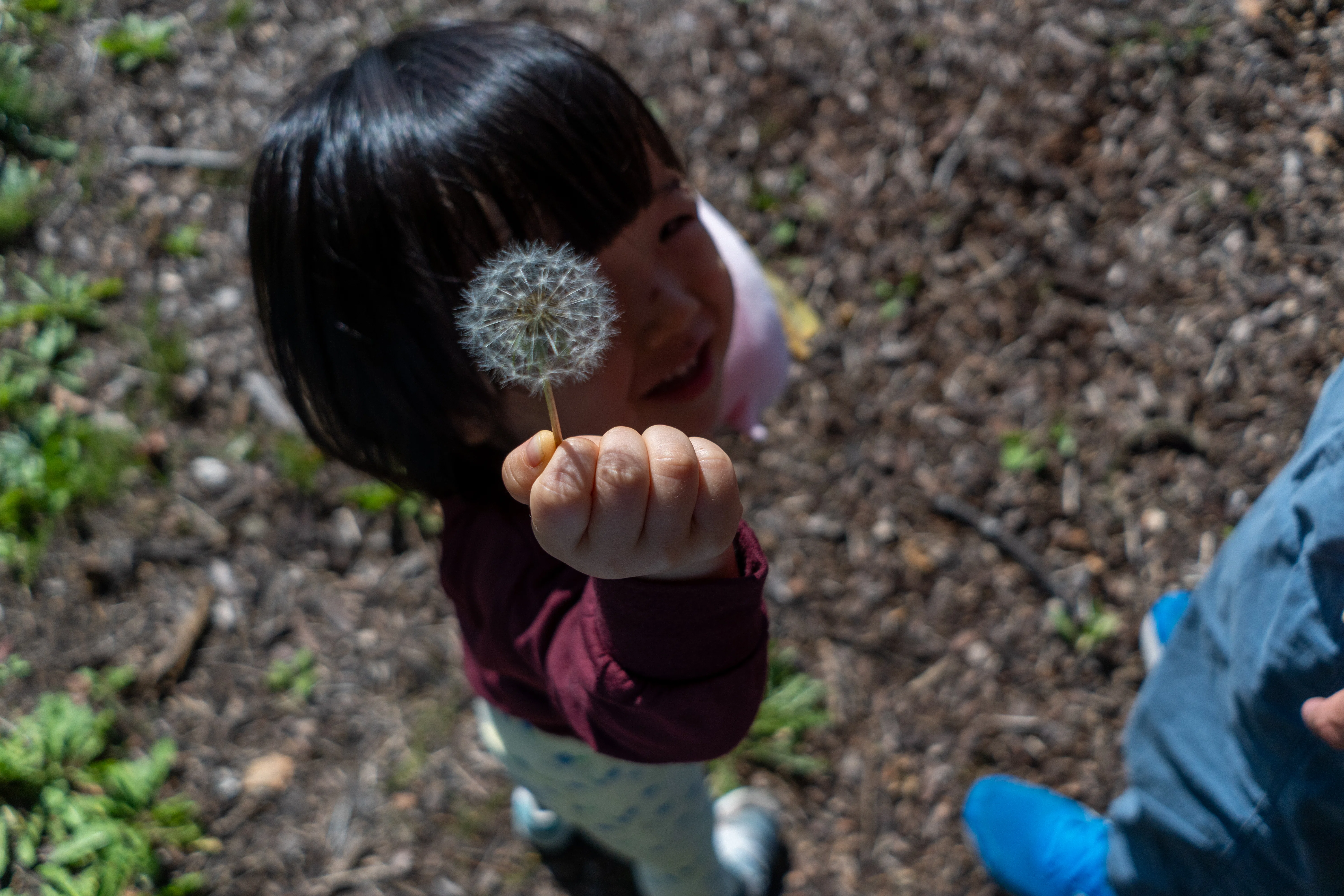 SNS, Outings, and Time with Children｜chataro