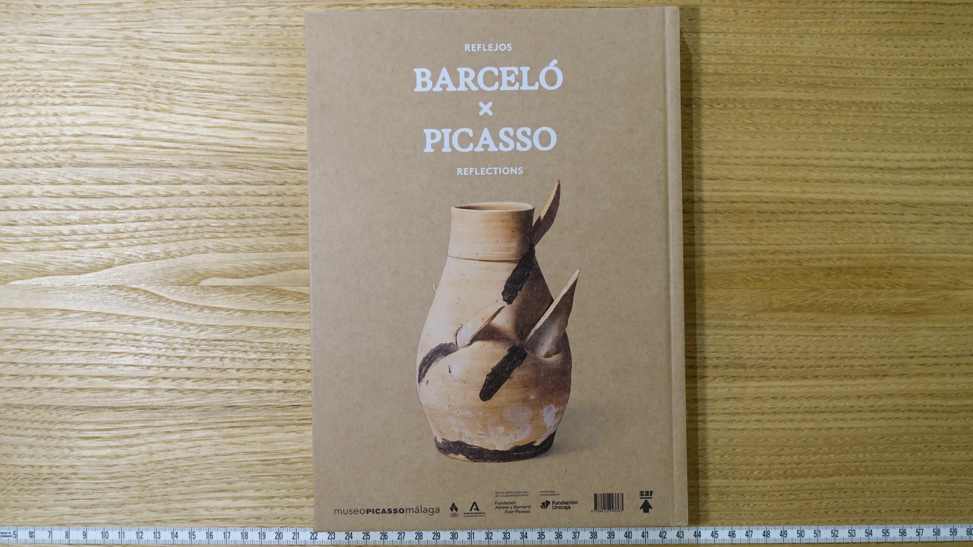 Reflections: Picasso × BarcelóPicasso ｜IDEABOOKS JAPAN