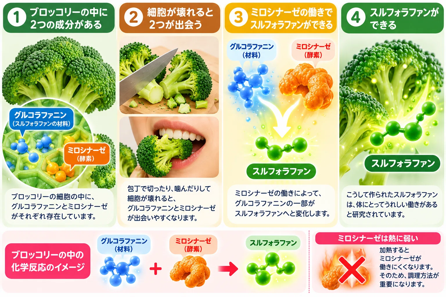 Is boiling broccoli a waste? How to eat it to make the most of ...