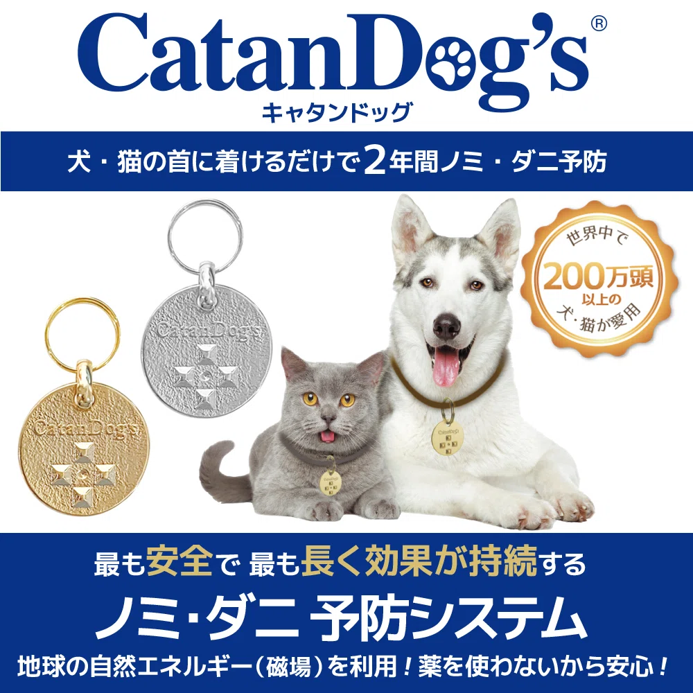ノミ・ダニ対策、愛するペットに負担をかけたくないあなたへ。薬に頼ら