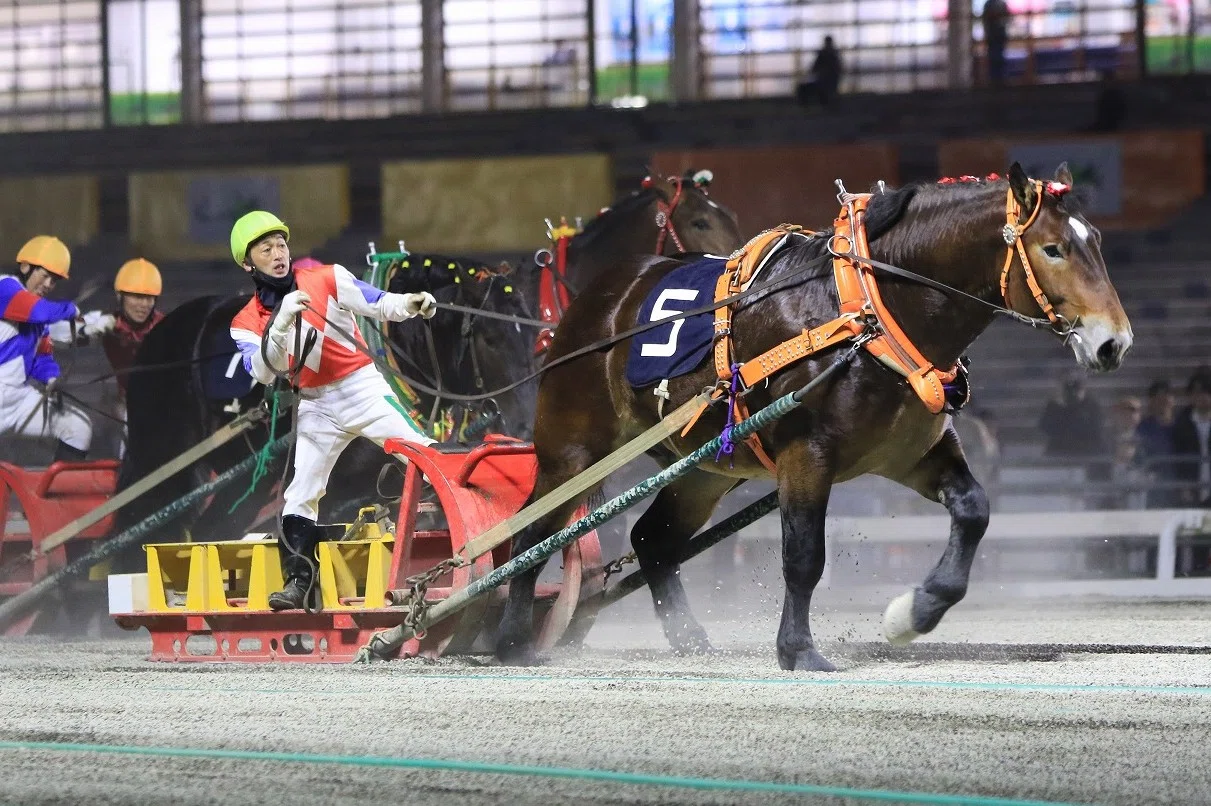 地方競馬1週間ふりかえり 10月12日号｜オッズパーク【公式】