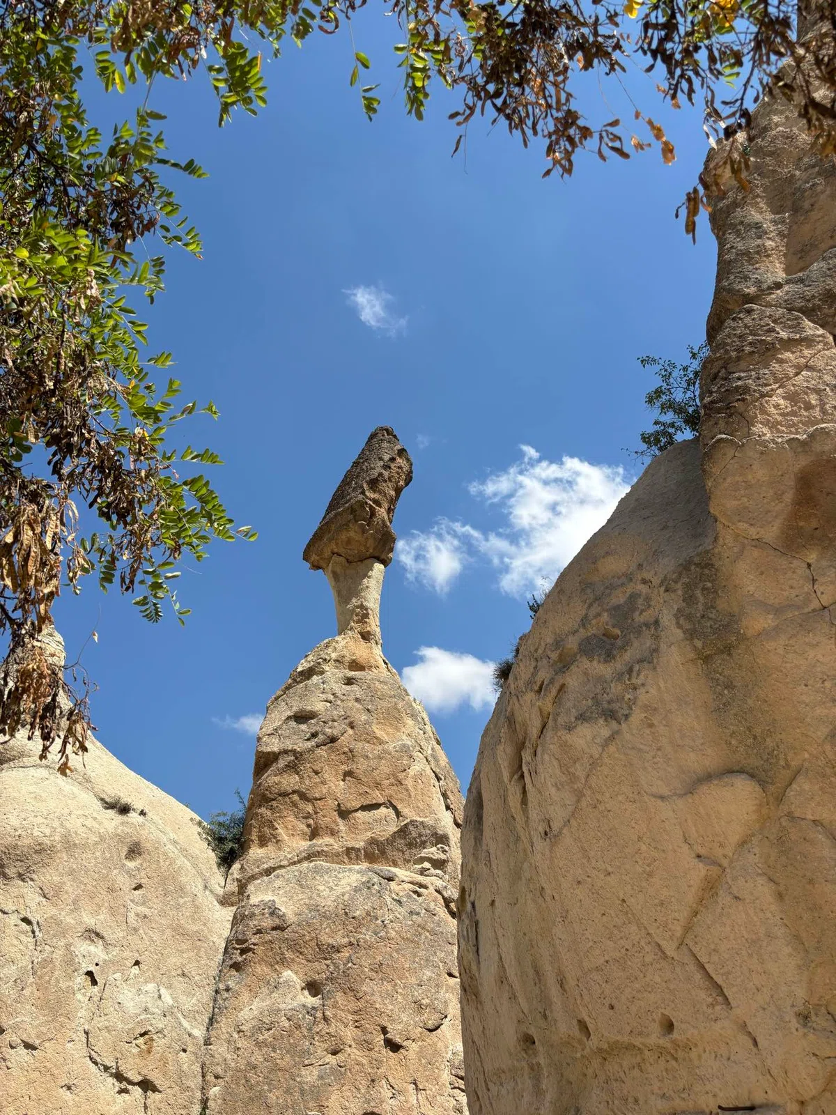 [Memories] Cappadocia = I want to overturn the image of hot air ...