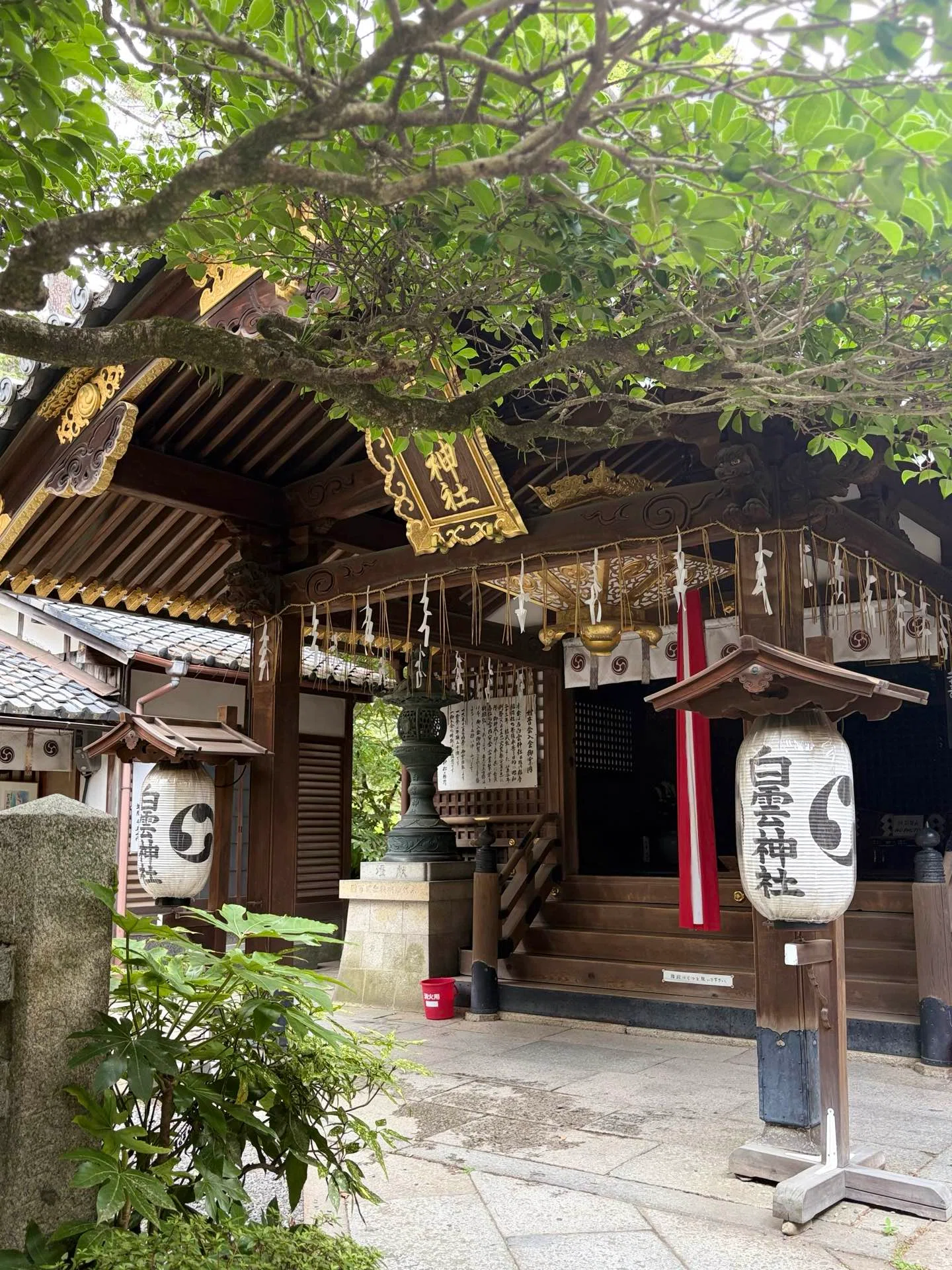 京都歴史探訪：京都御所～京都迎賓館～厳島神社～宗像神社～白雲神社