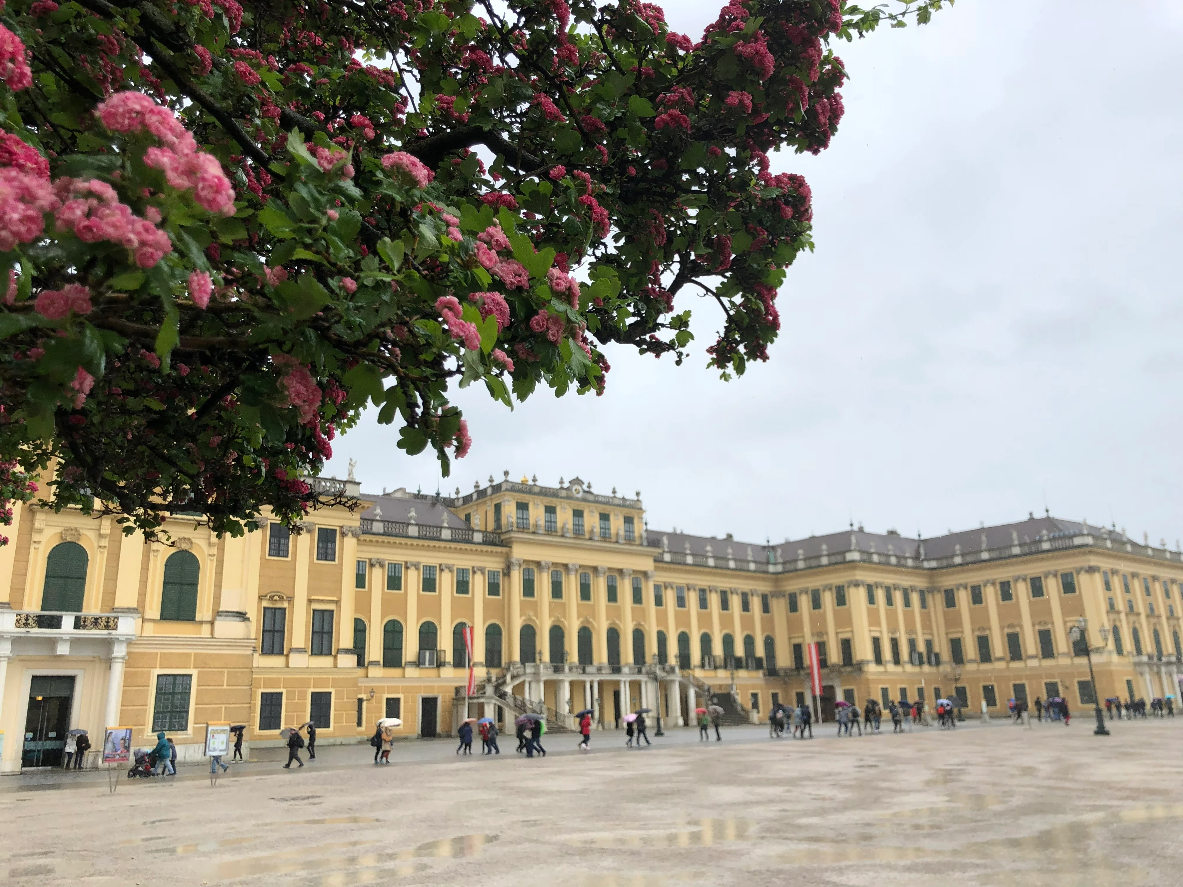 [World Heritage x Music] Marie Antoinette and Time with Music｜Riri