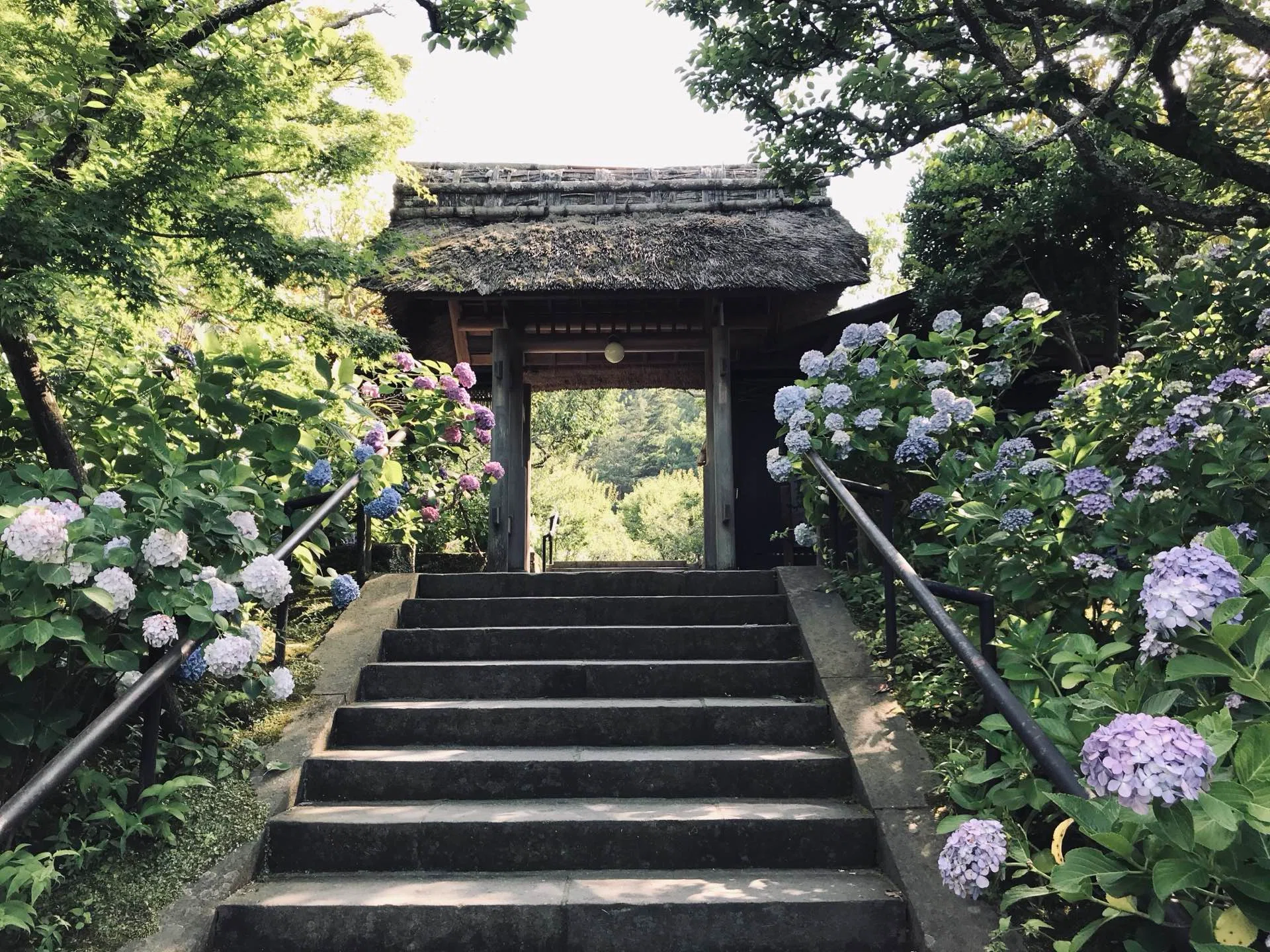 Visiting Sites Associated with Hojo Sadatoki｜kirin_melonの社会科見学