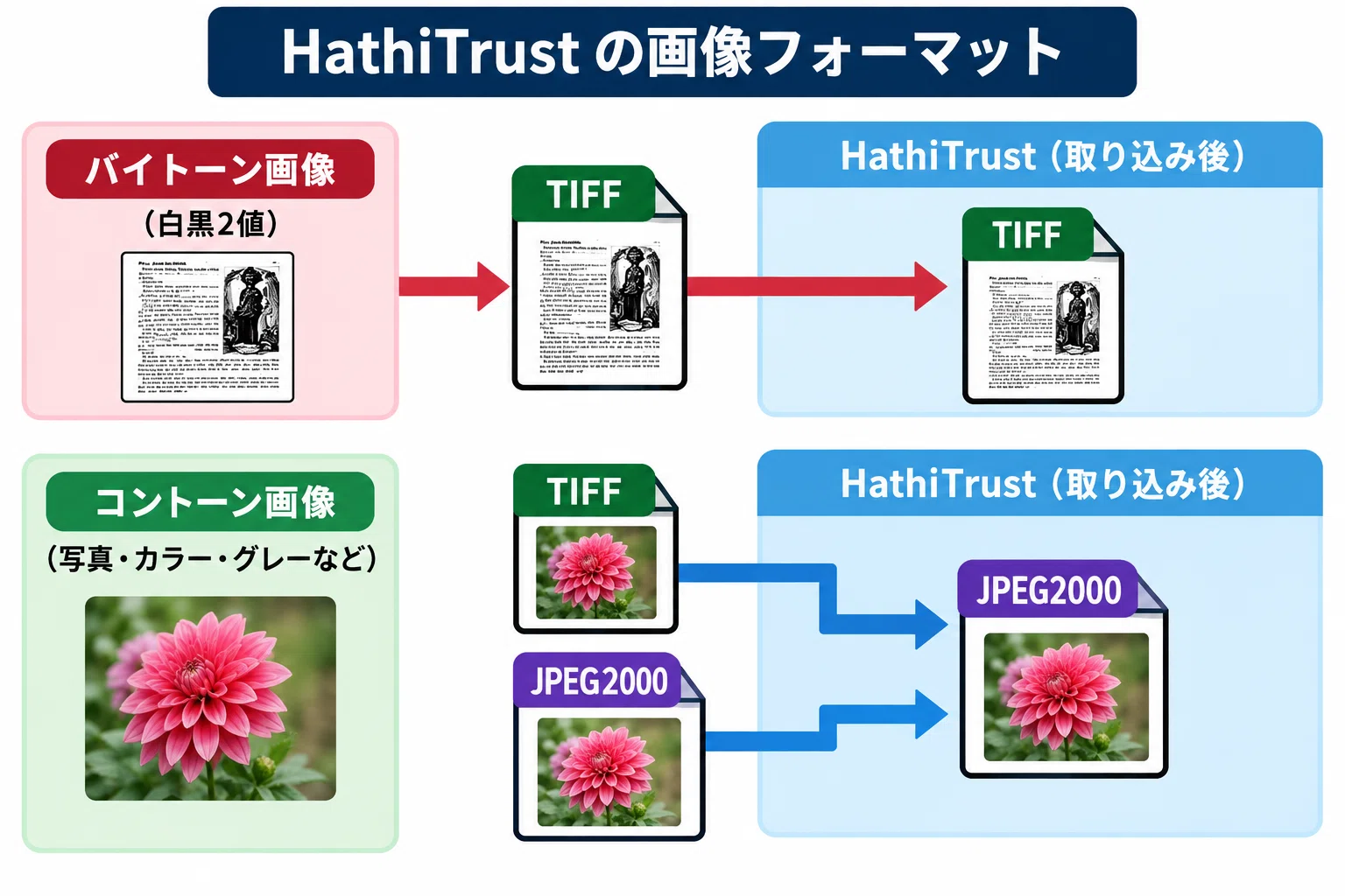 The Evolution of Digitization Guidelines (36)｜画像形式世界行脚