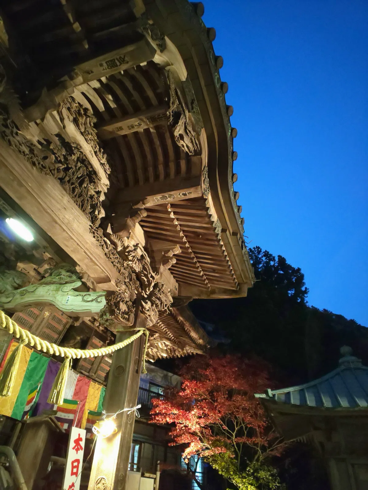 Oyama Afuri Shrine | A pilgrimage to Mt. Oyama on a petite American ...