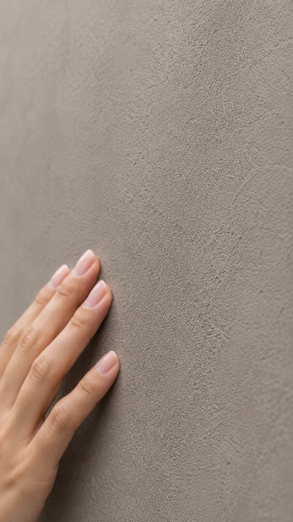Specialized plastering creates a place for living. | Construction ...