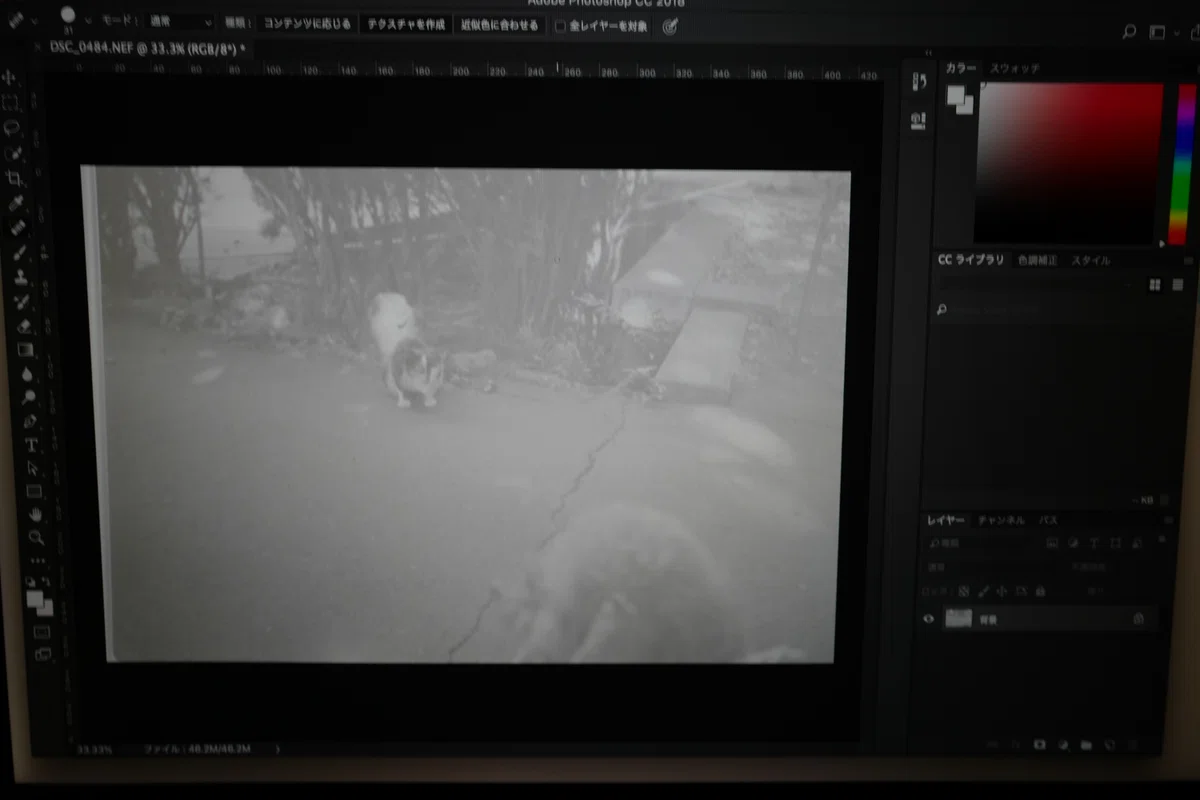 Retouching black and white film scanned with the Nikon ES-2 in ...
