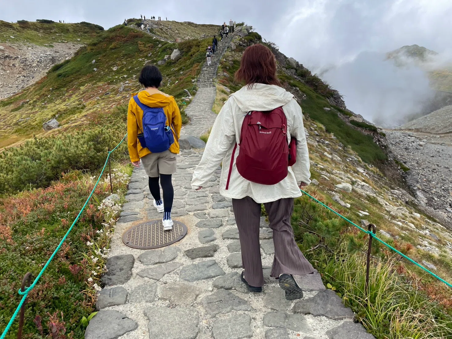 A Delightful Encounter on the Tateyama Kurobe Alpine Route: The ...