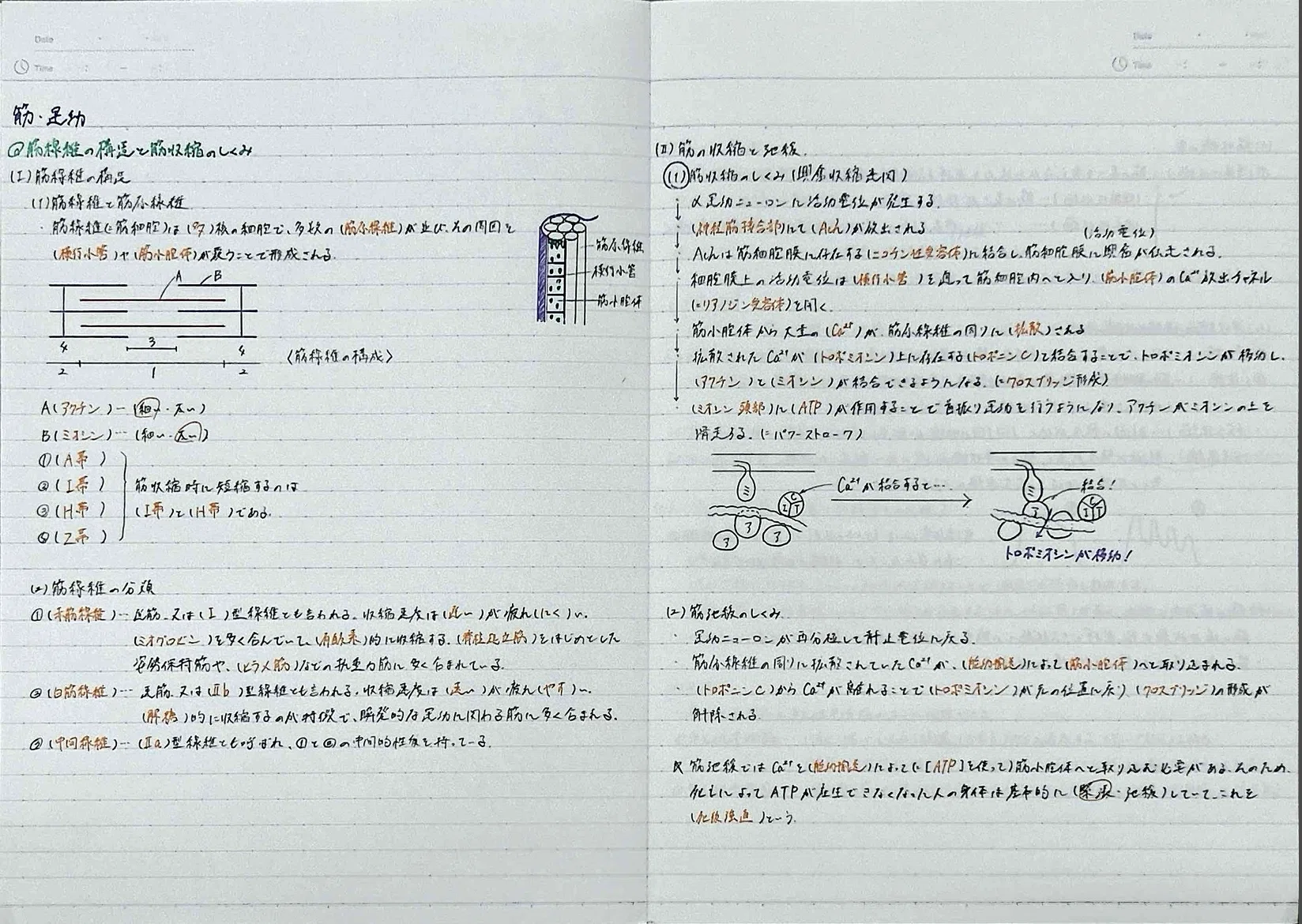 [Acupuncture and Moxibustion National Exam] Complete Coverage of the ...