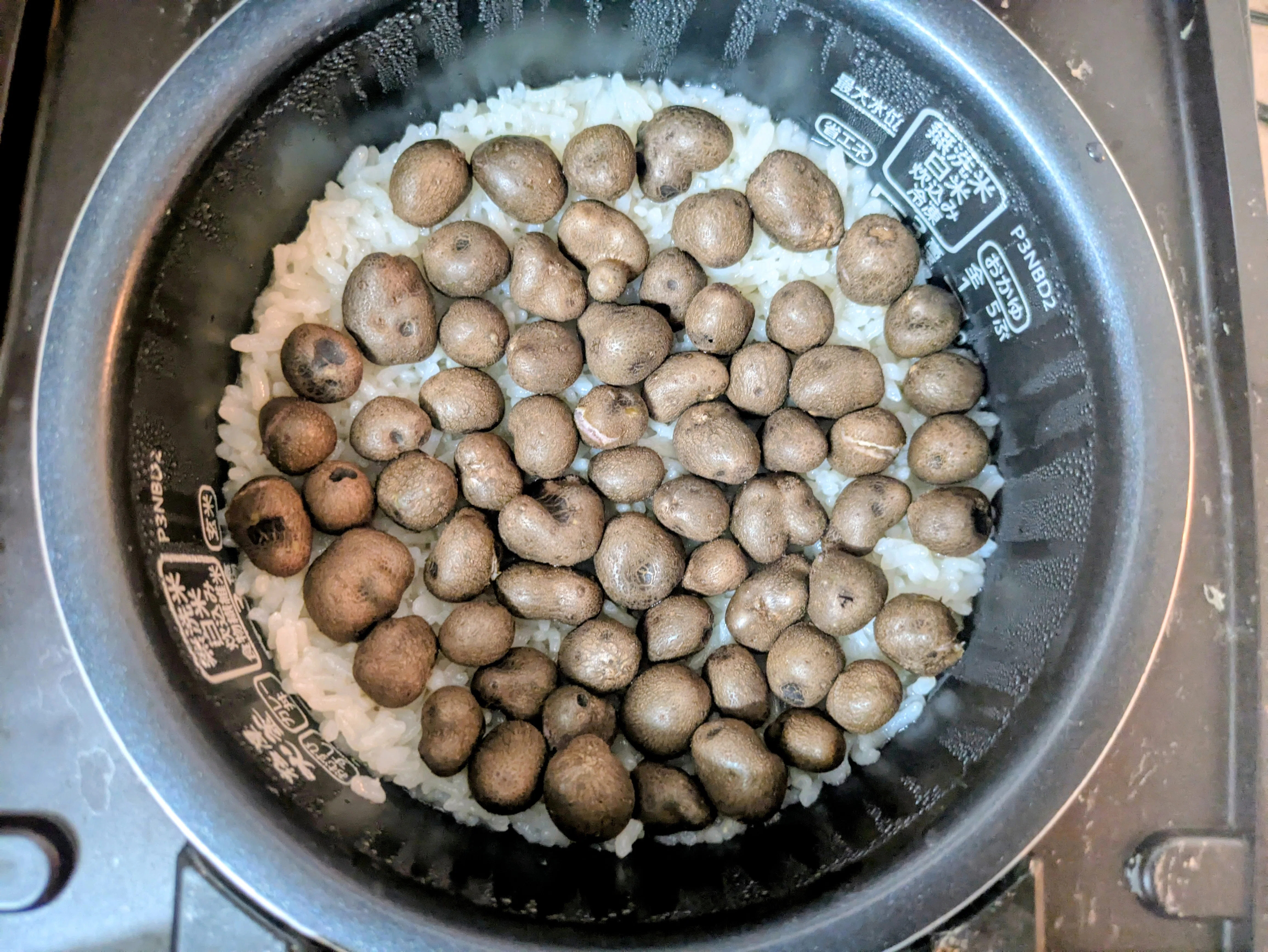 Seasonal Mukago Rice｜青鬼の台所