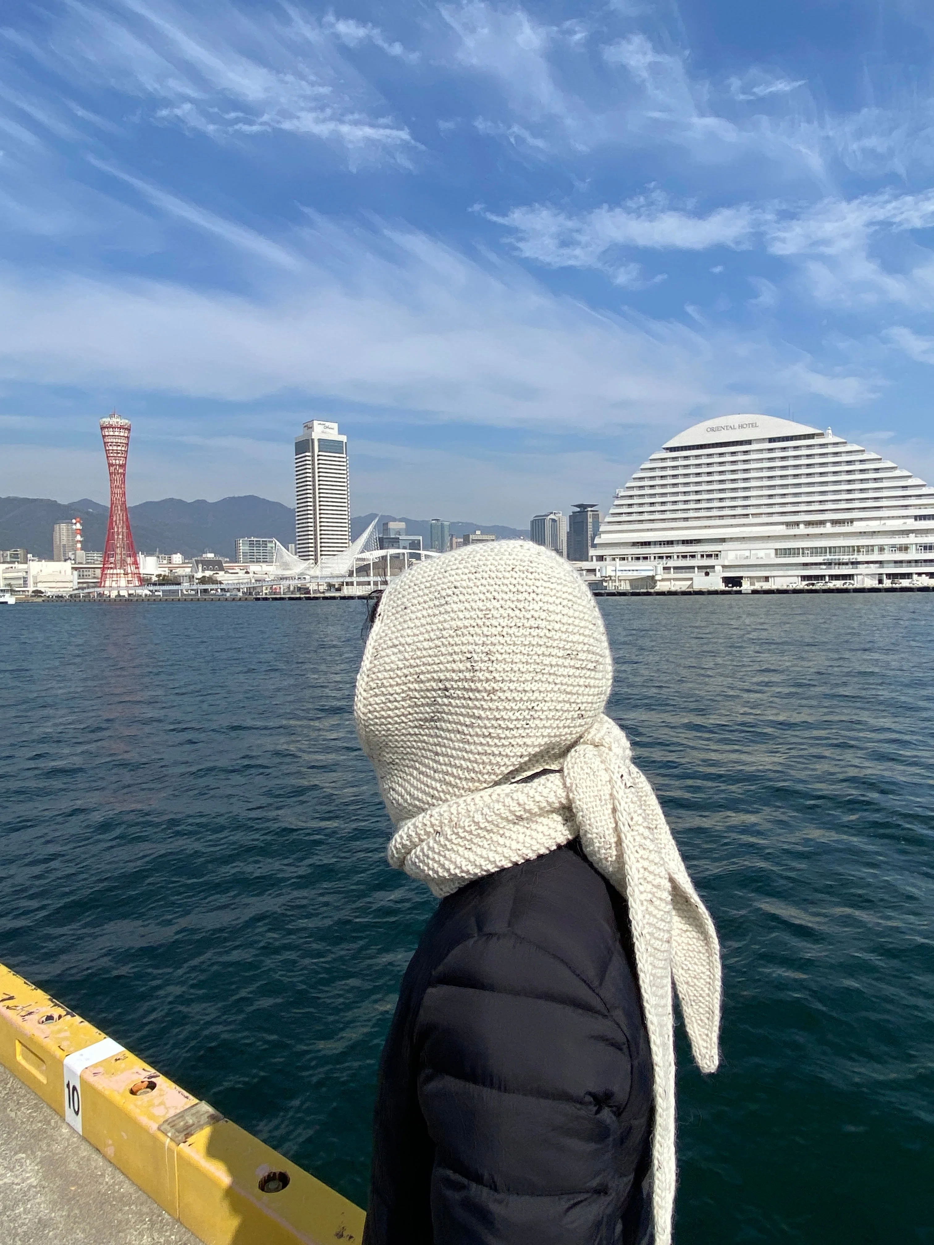 What is a Sophie Hood? A winter knit you can wear and wrap, shown in ...