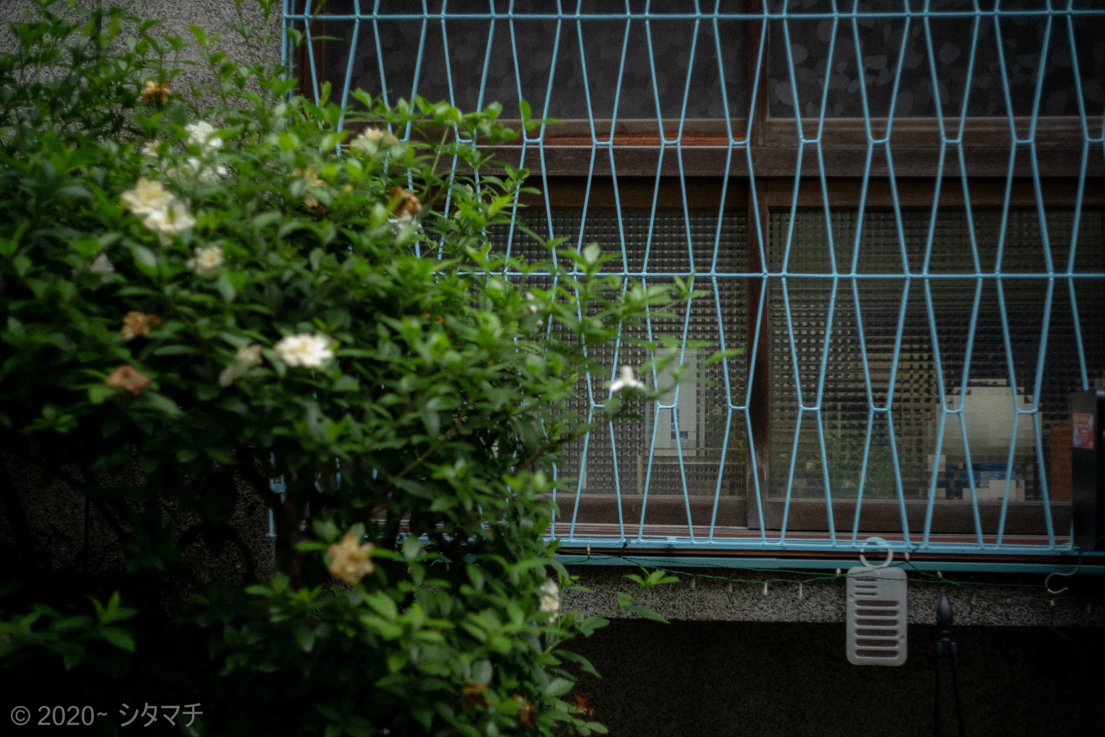 Places I want to capture in color｜シタマチ記録保存館
