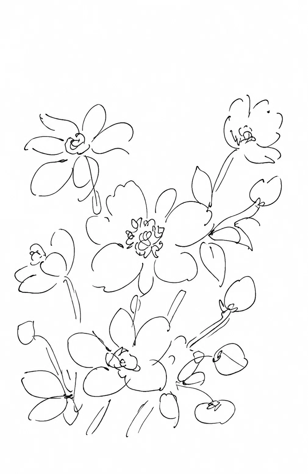[October 12] Flower 🌸 Japanese Anemone (Kibunegiku) 🌸 Illustration ...
