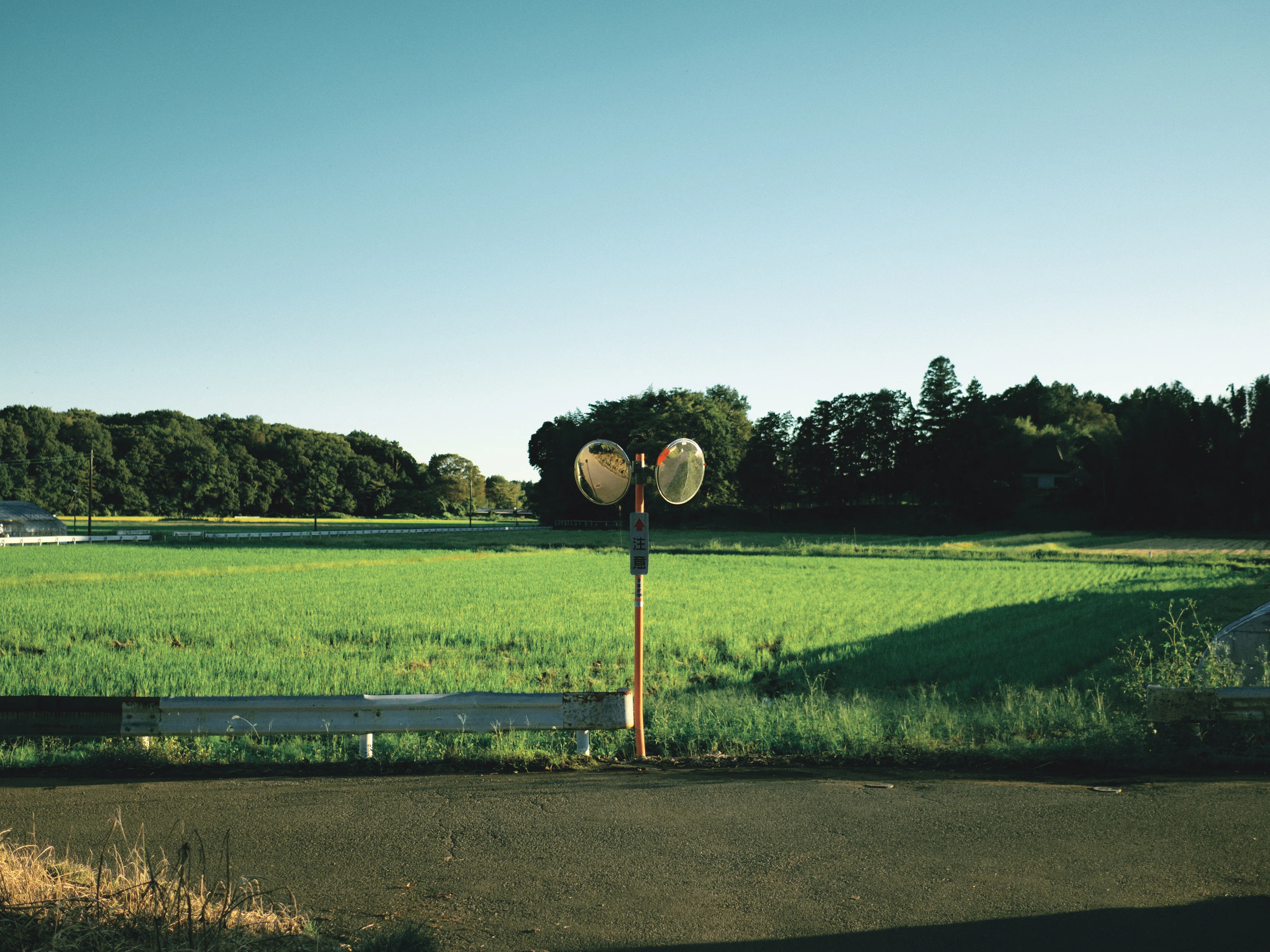 Autumnal Rural Landscape｜nikoniseria