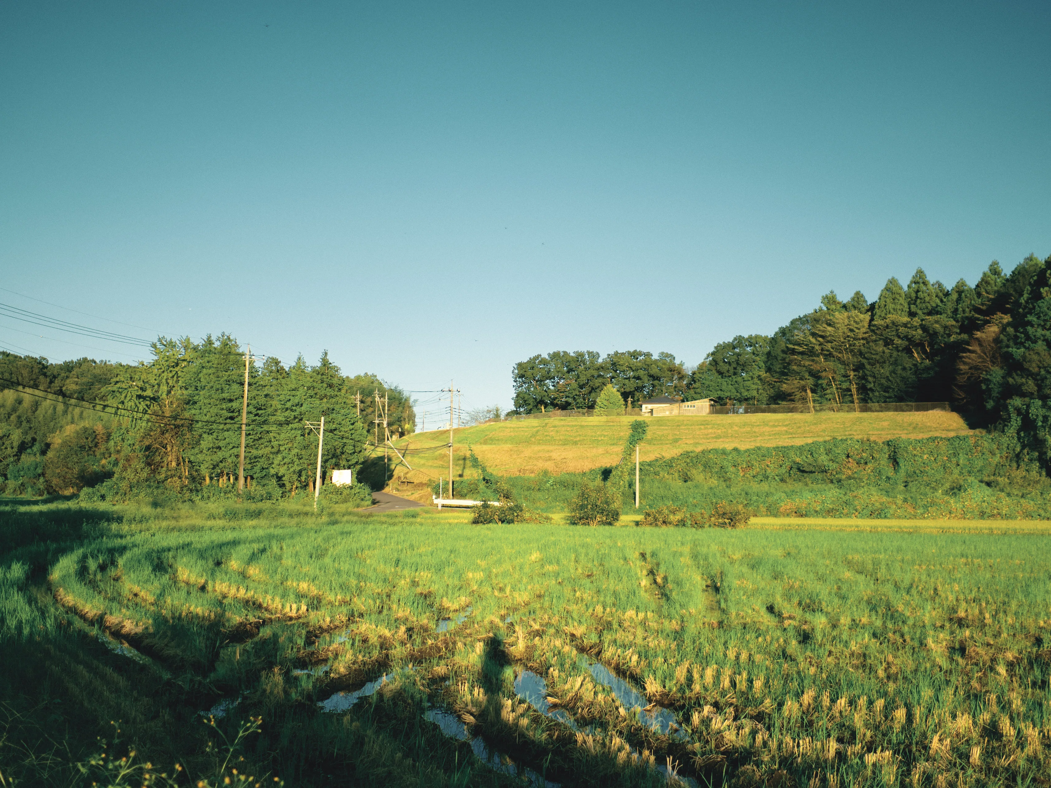 Autumnal Rural Landscape｜nikoniseria