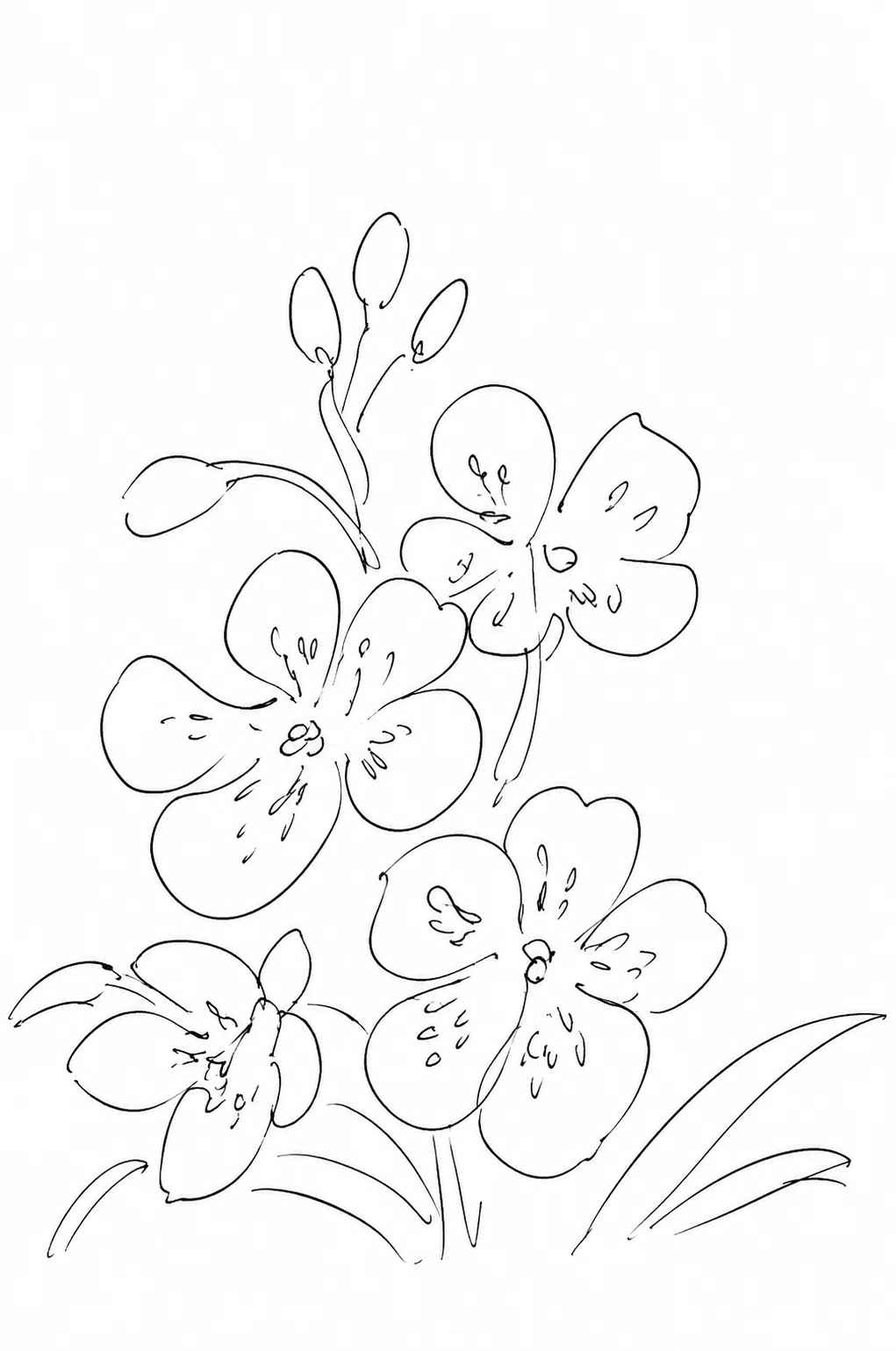 [October 13] Flower 🌸 Vanda (Jade Orchid) 🌸 Illustration drawn in 5 ...