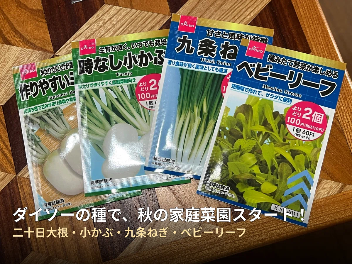 [One-Armed Home Gardening Diary] Autumn Sowing Starts! Coloring My Home ...
