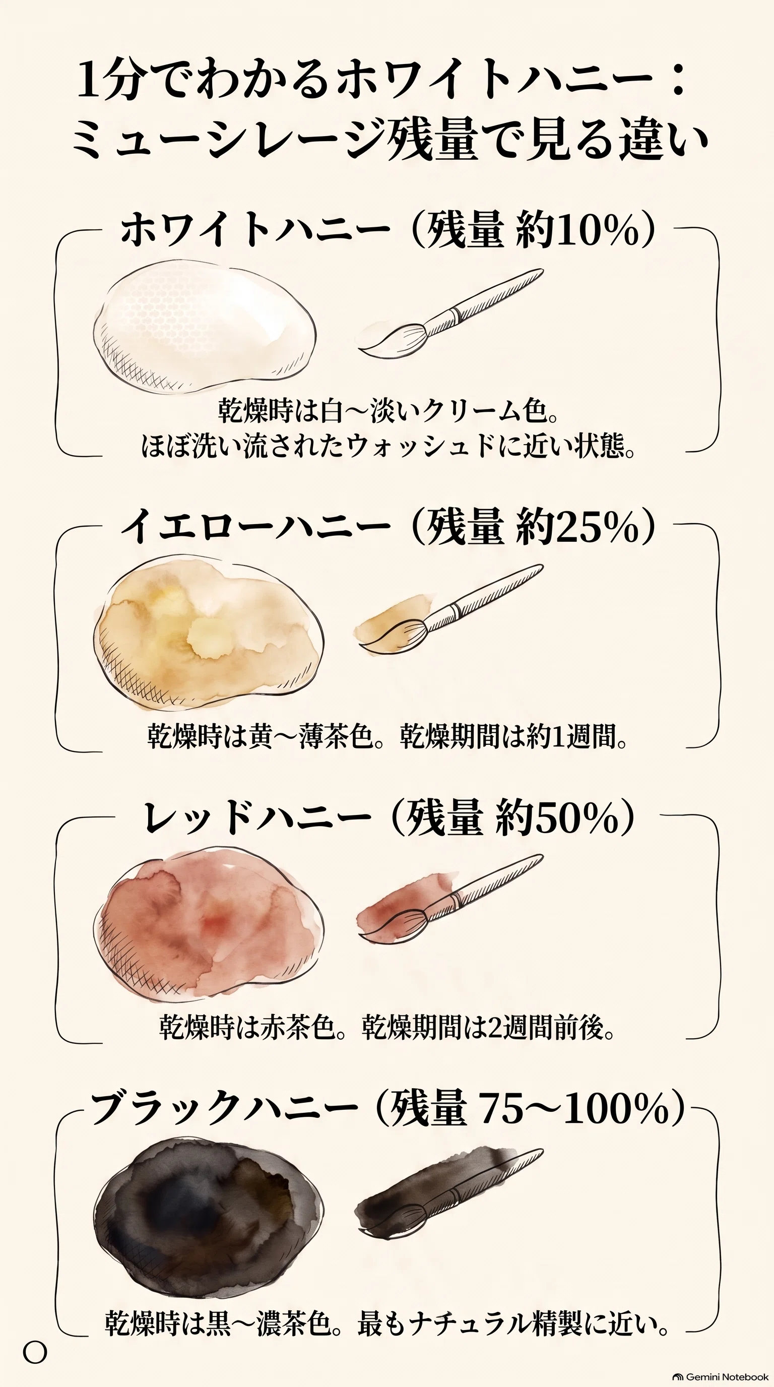 The Third Design: Honey Process｜KAMOGAWA COFFEE