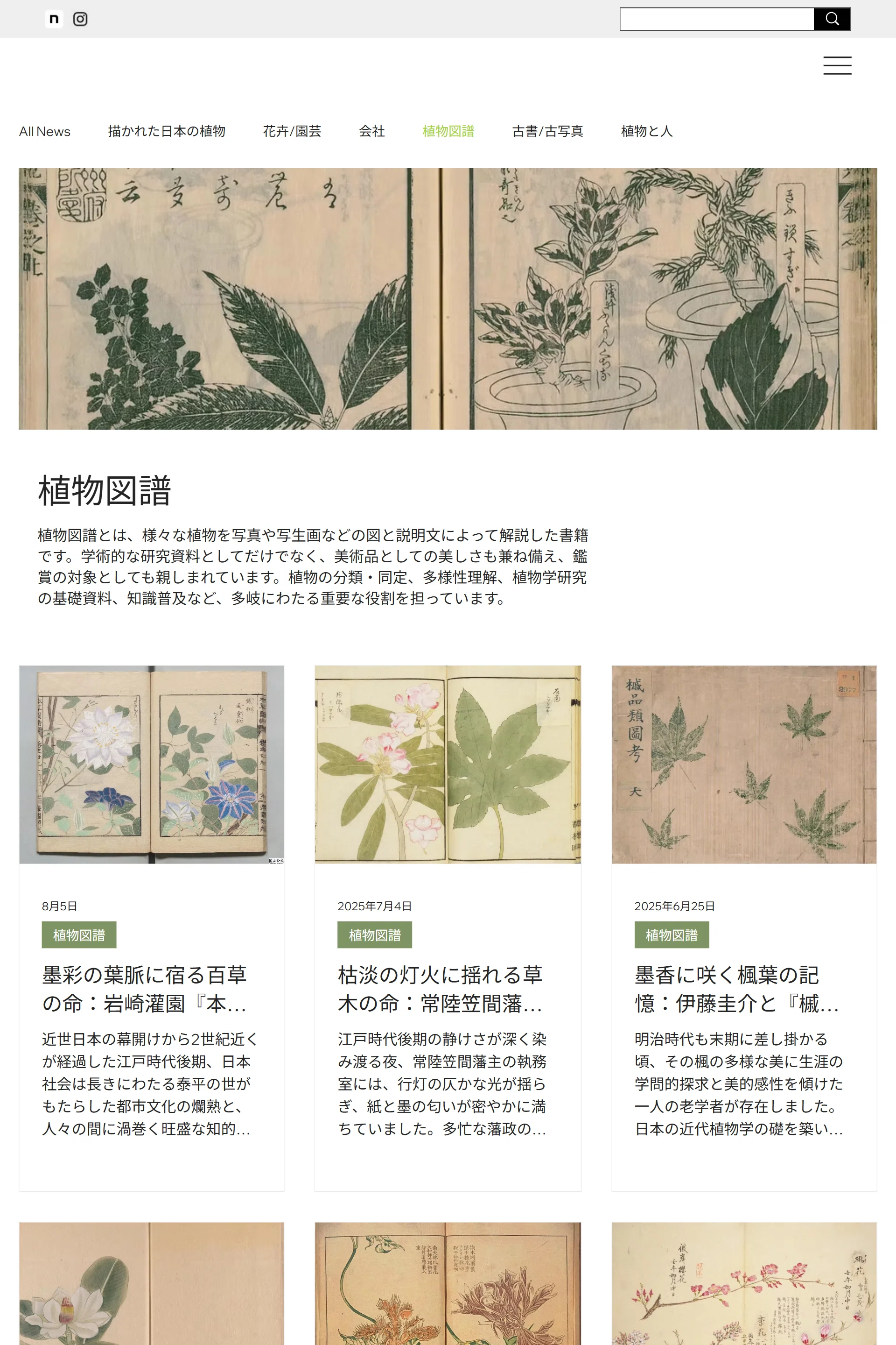 弊社HP記事｜日本花卉文化株式会社