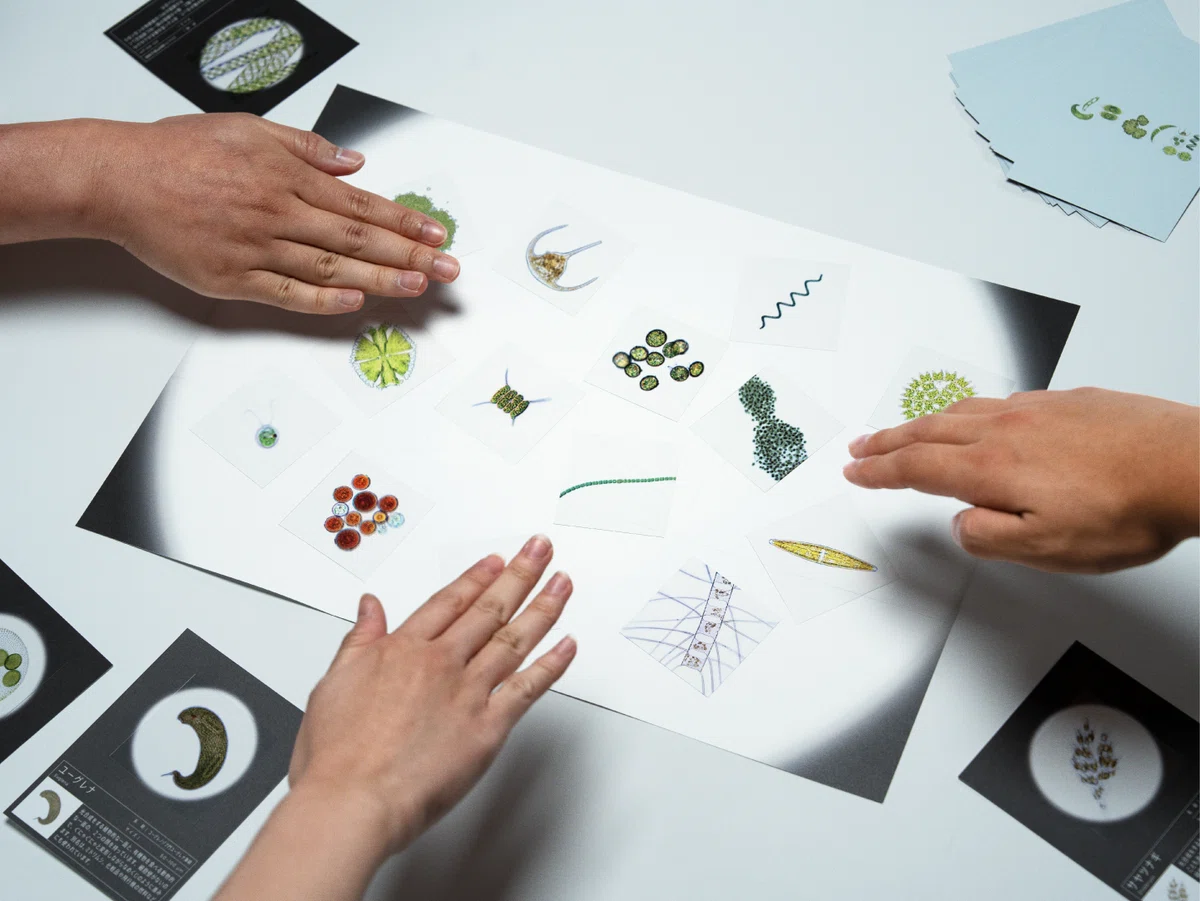 [Game Market 2026 Autumn B031] Play as if looking through a microscope ...