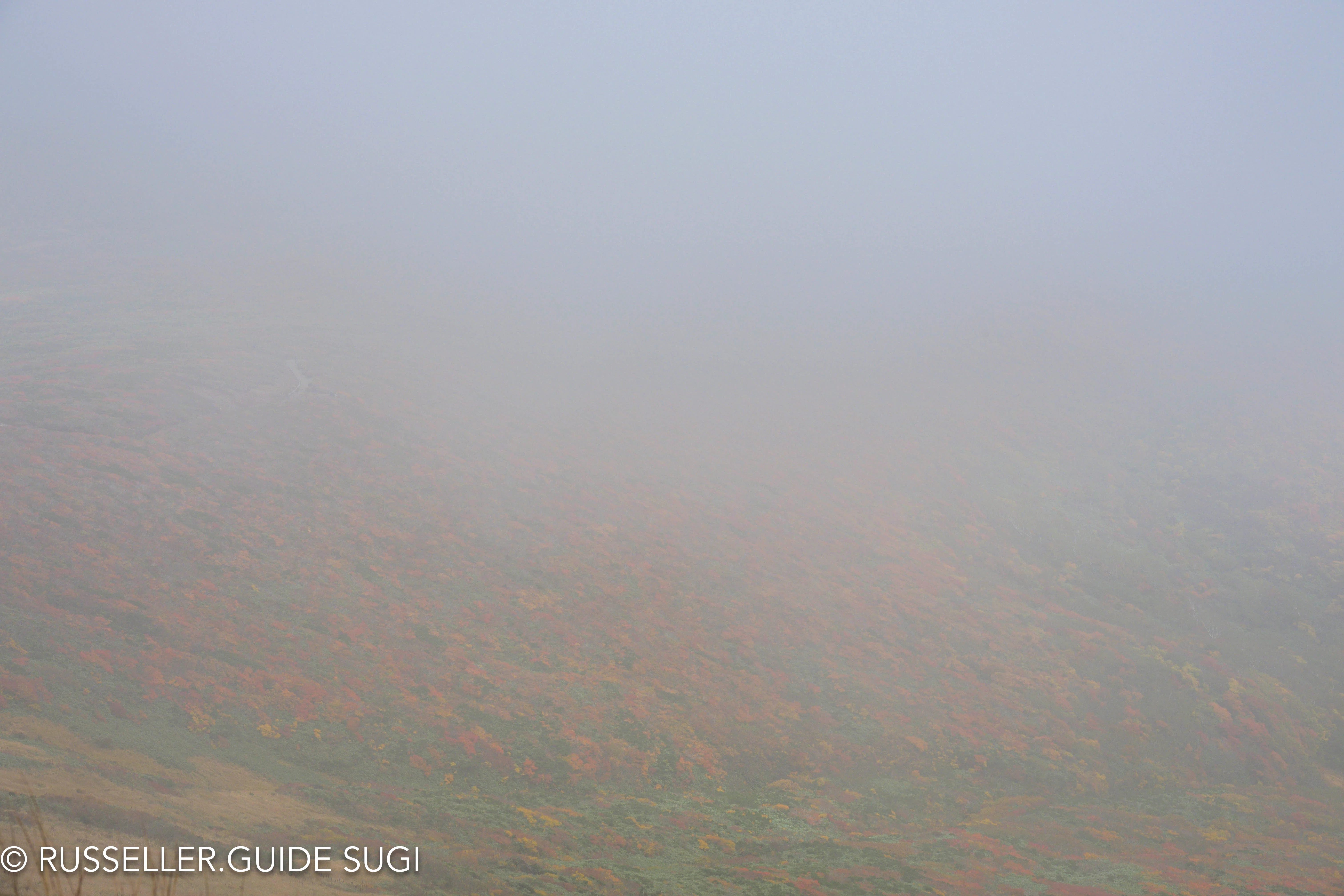 [With a Guide] God's Carpet and the Flying Carpet at Mt. Kurikoma｜ラッセ ...